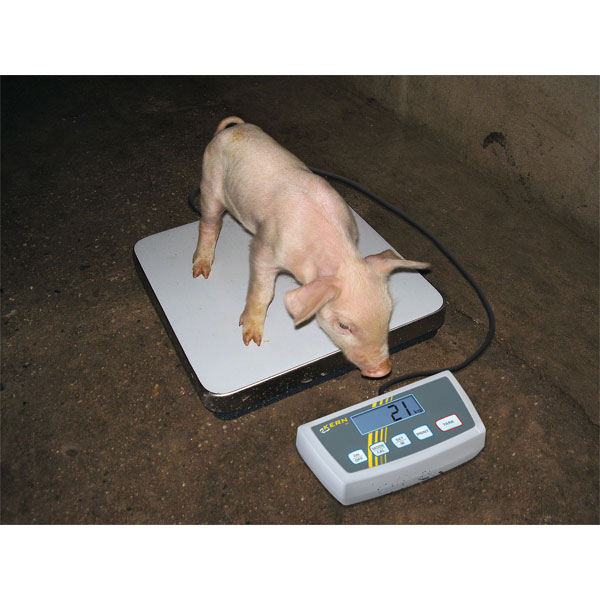 Bilancia a piattaforma Kern DE 15K2D 2g: 5g: 6kg: 15kg