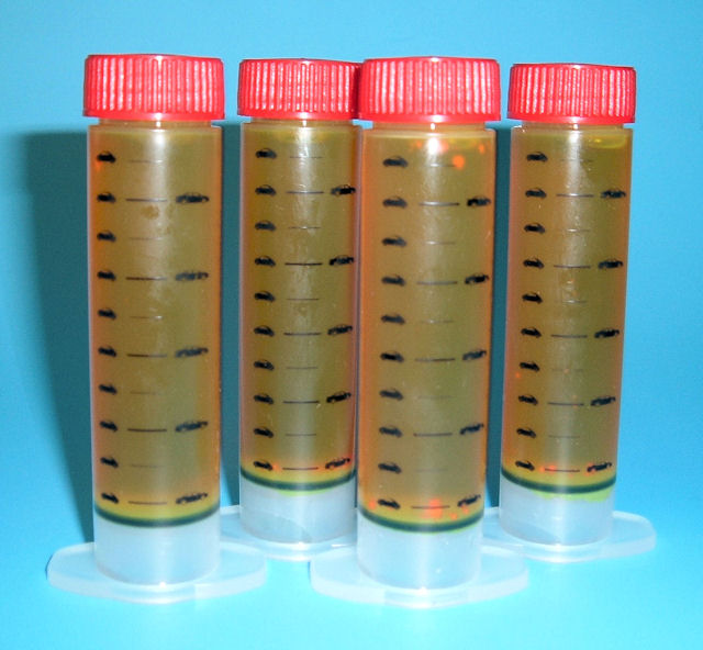 Auto Air SPOTGUN DYE (5 SHOT) X 4 PER BO – 42-0101