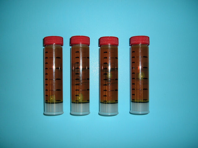 Auto Air SPOTGUN DYE (5 SHOT) X 4 PER BO – 42-0101A