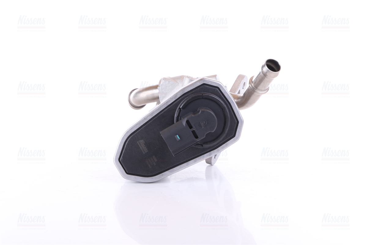 Nissens EGR Valve 98165