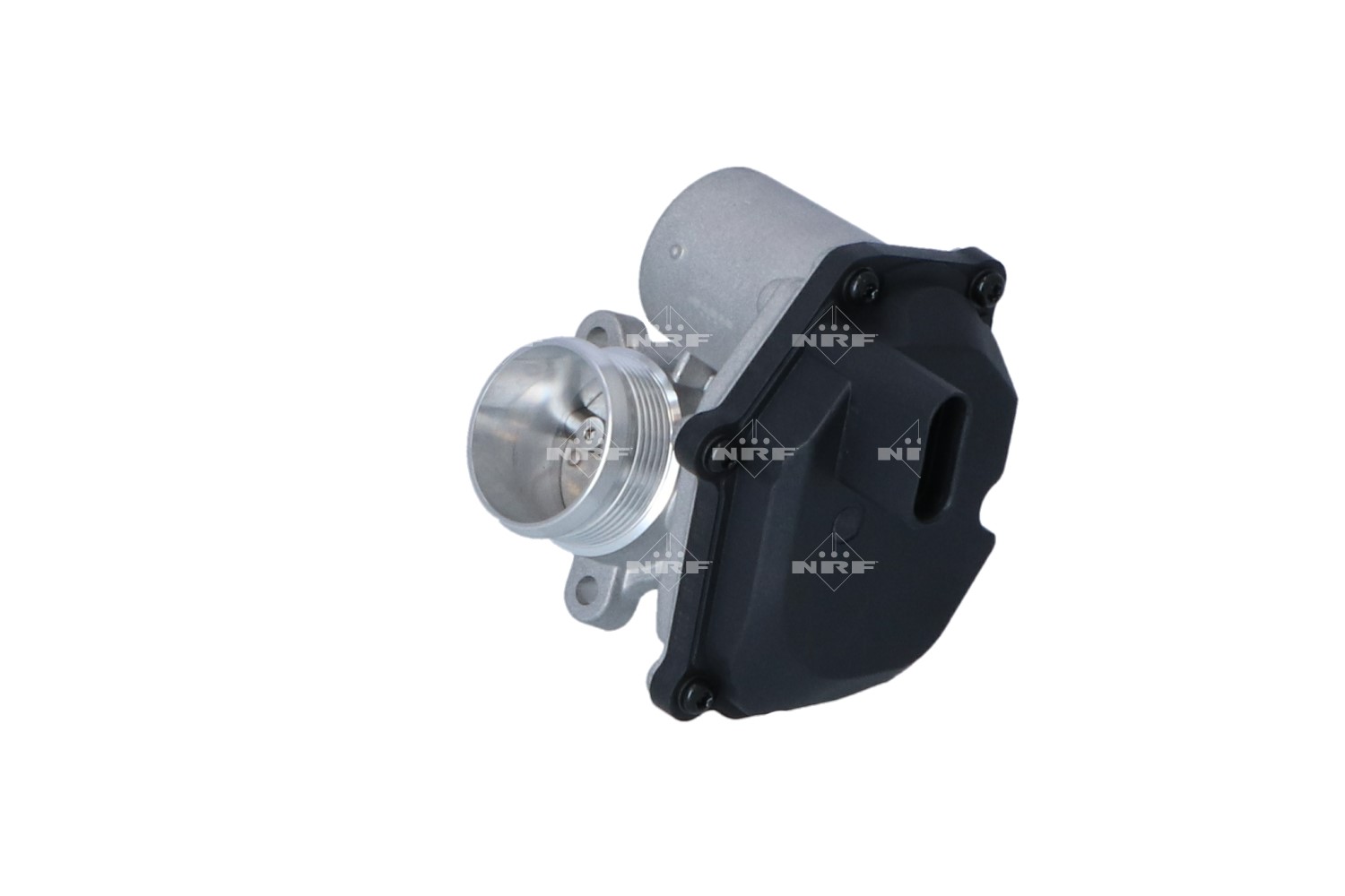 NRF EGR VALVE – 48605