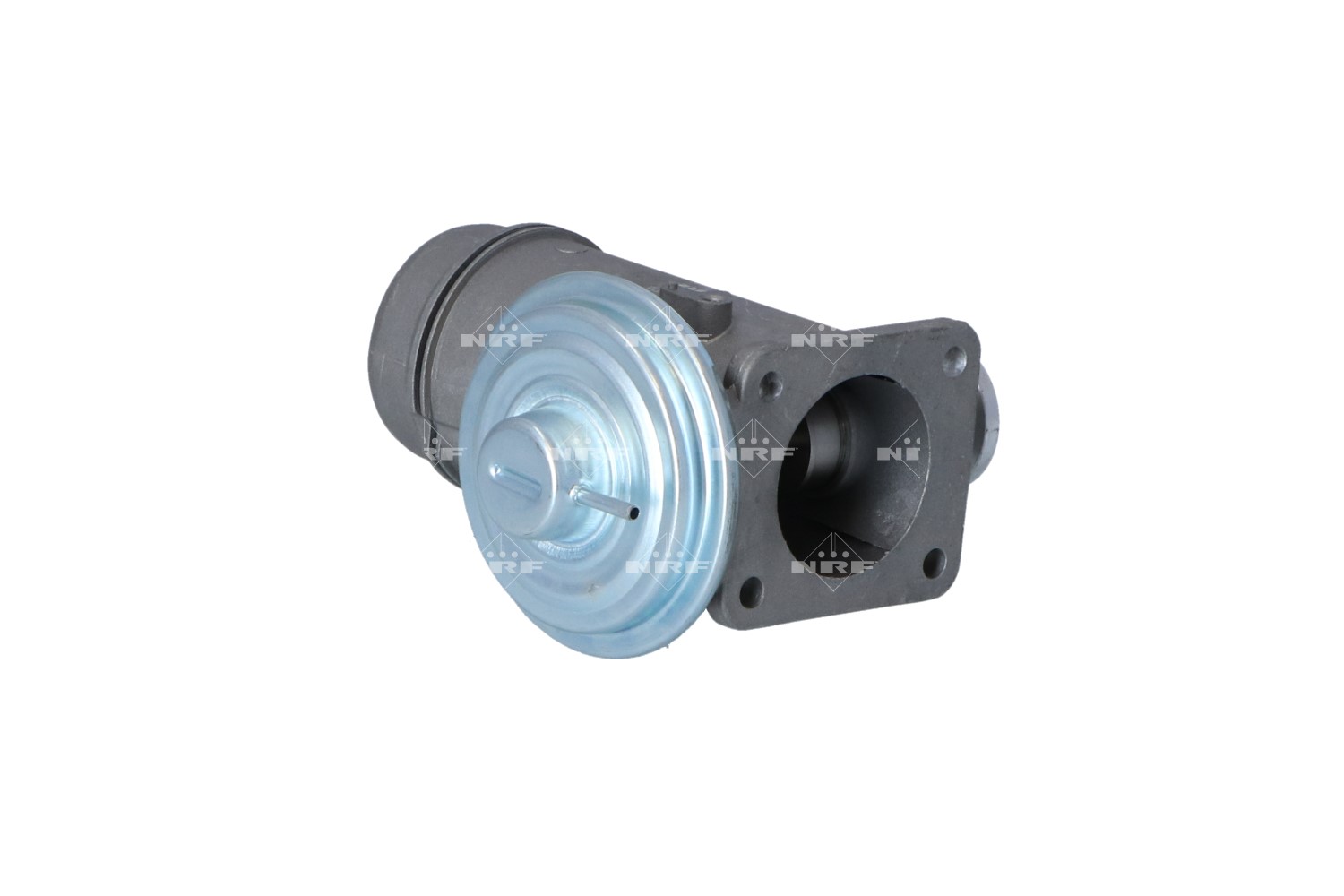 NRF EGR VALVE – 48609