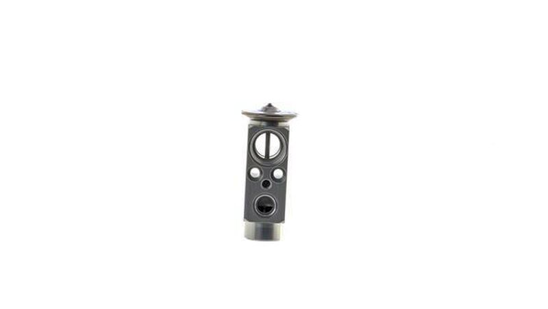 MAHLE Aircon Expansion Valve AVE189000S
