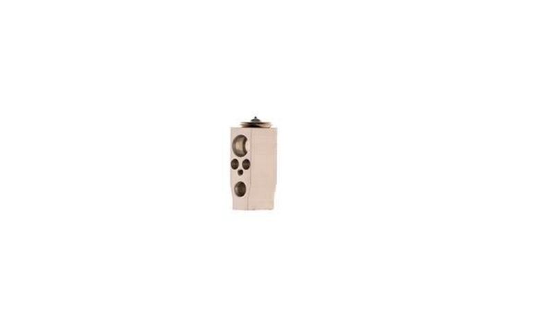 MAHLE Aircon Expansion Valve AVE172000S