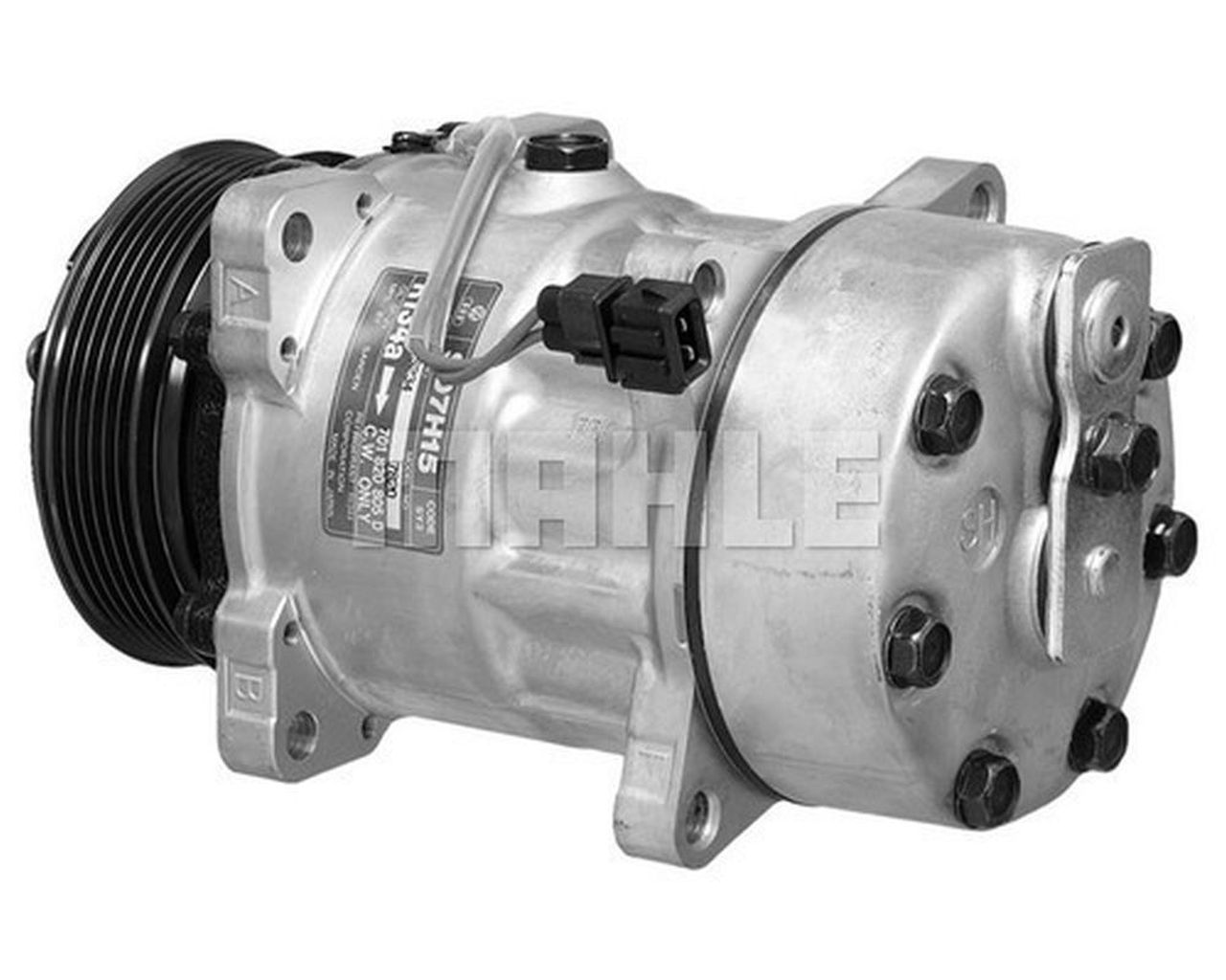 MAHLE LCV Aircon compressor ACP1074000P