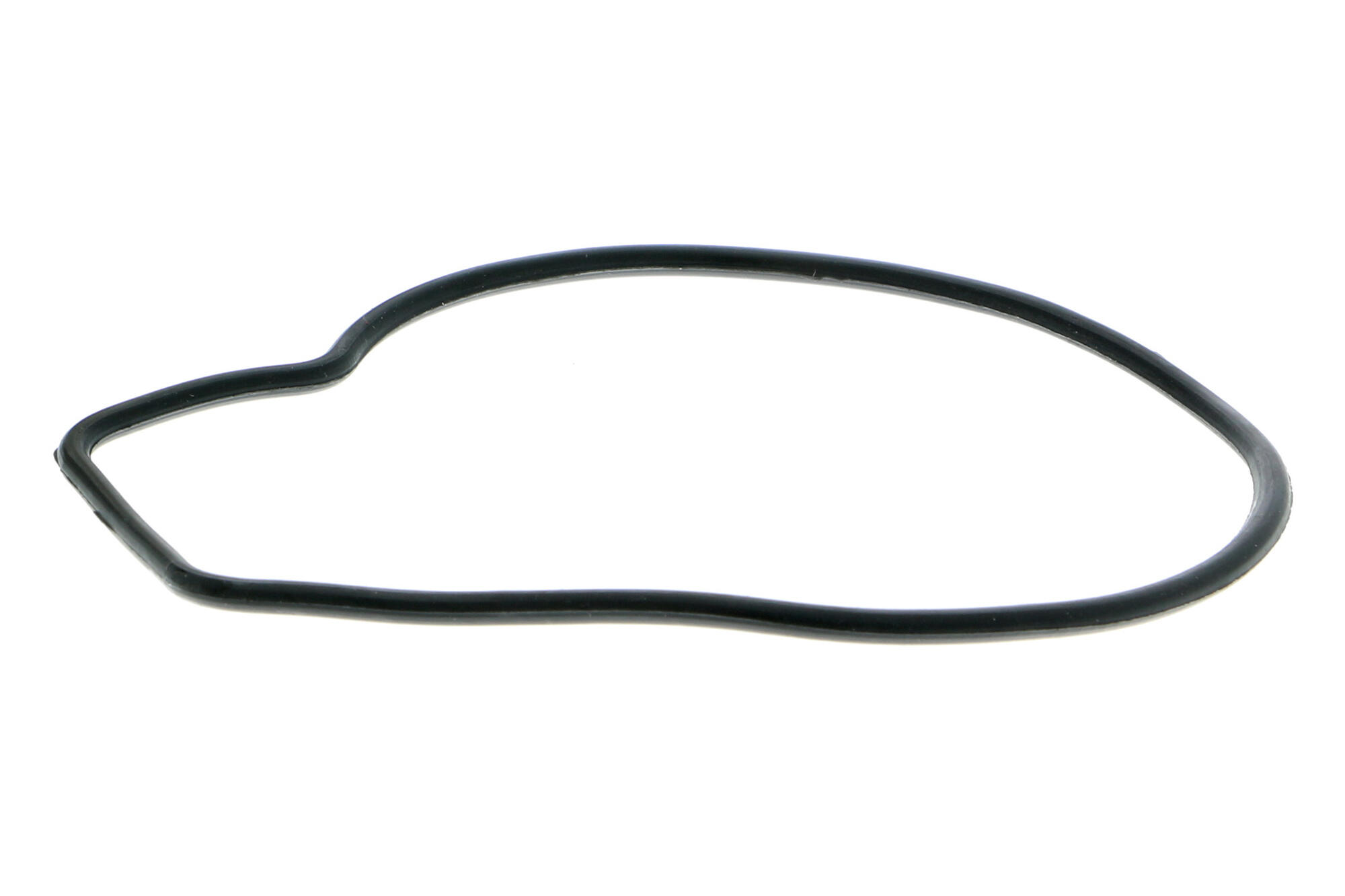 ACKOJA Water Pump, engine cooling A26-50005