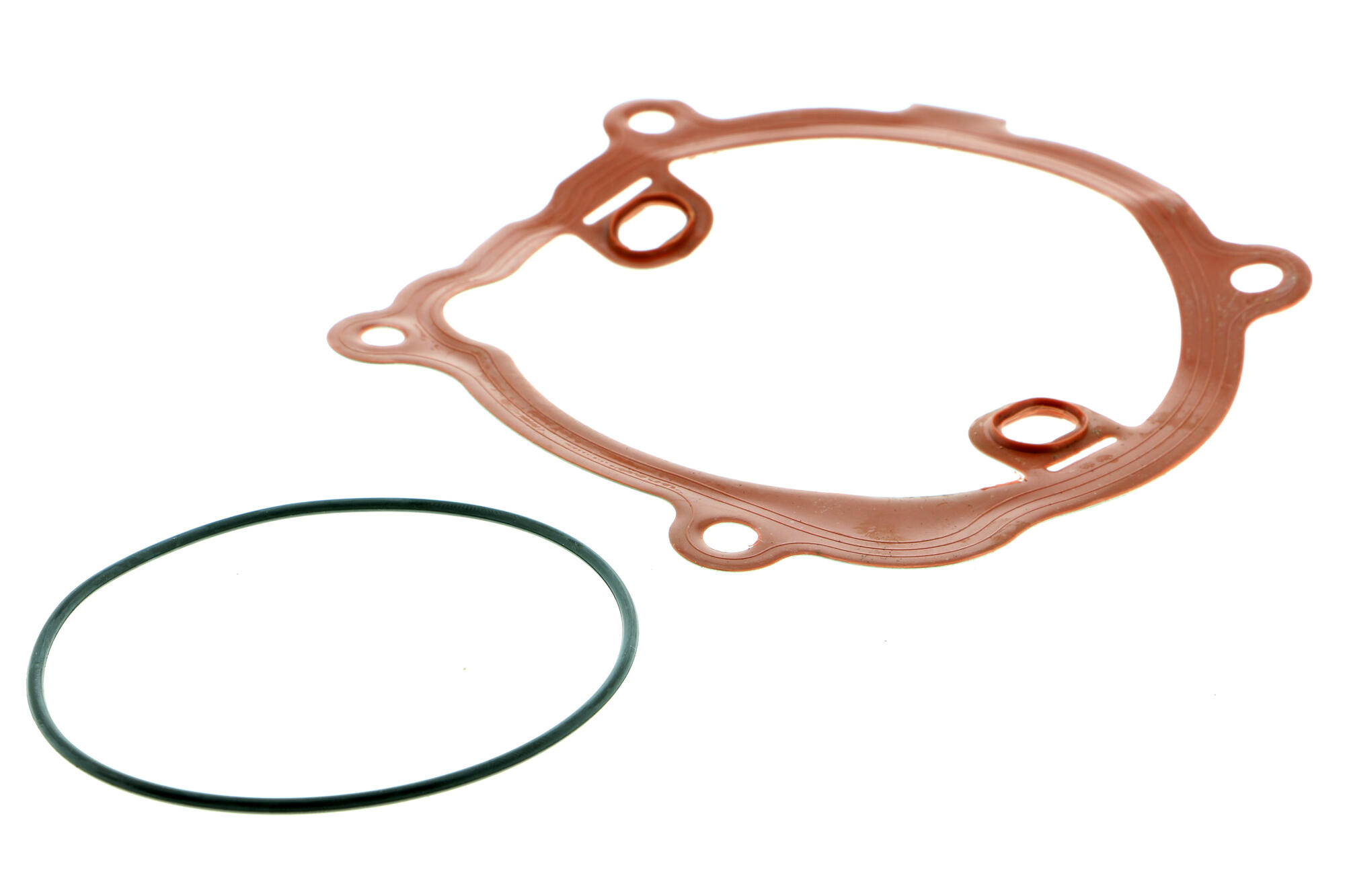 ACKOJA Water Pump, engine cooling A38-50001