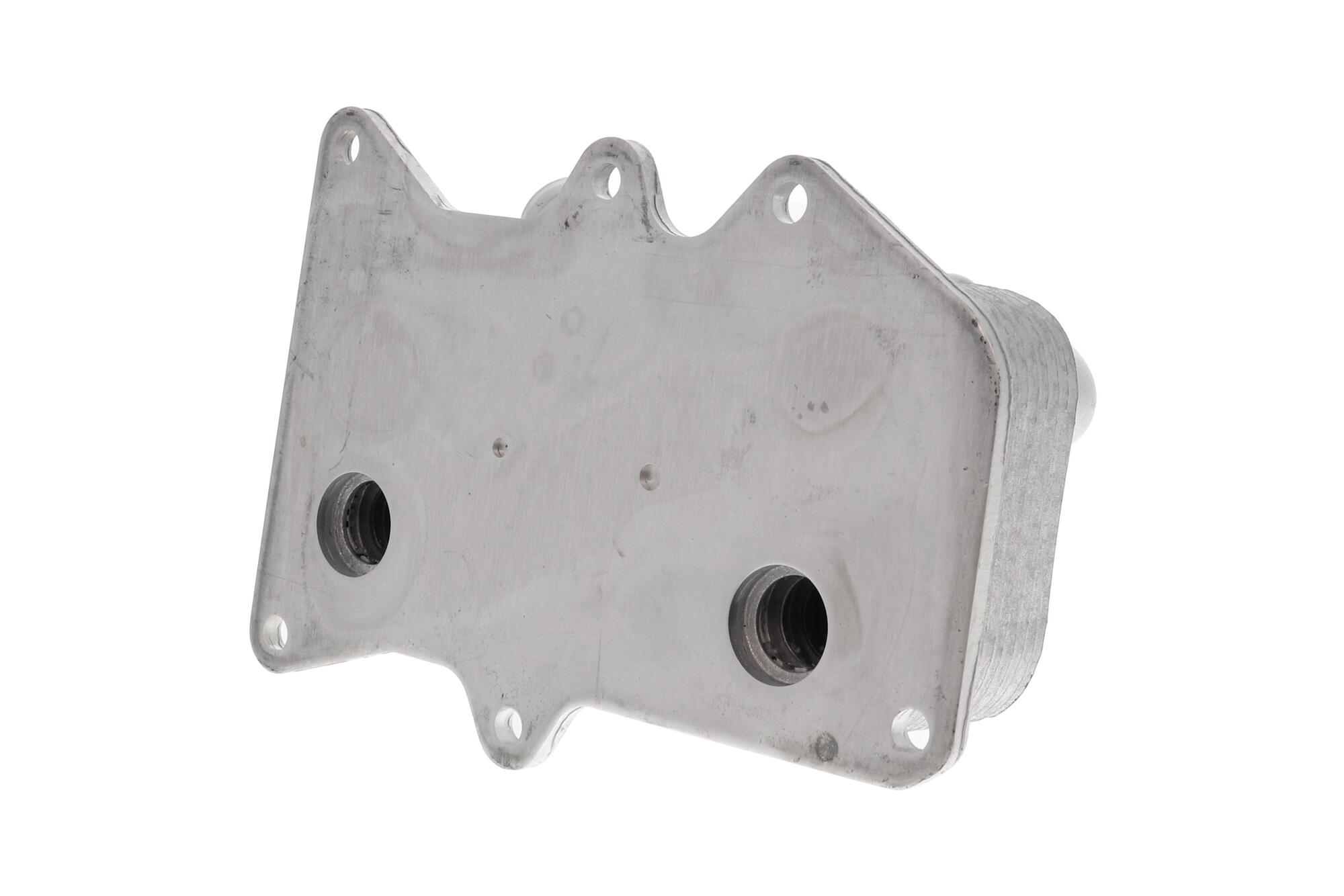 ACKOJA Oil Cooler, engine oil A52-60-1006