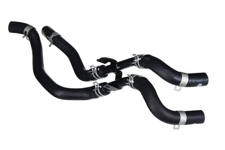 ACKOJA Radiator Hose A52-9953