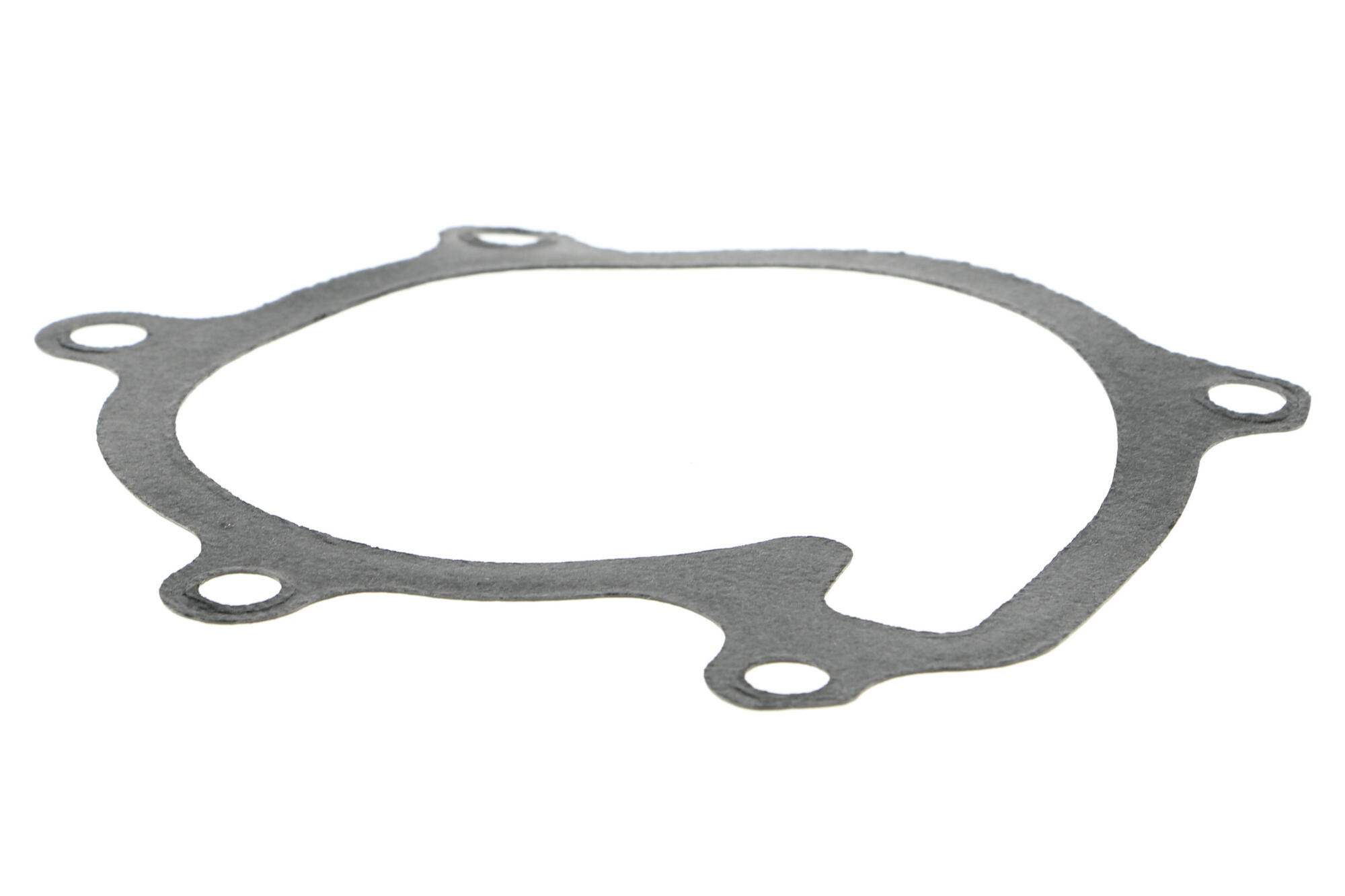 ACKOJA Water Pump, engine cooling A70-50019