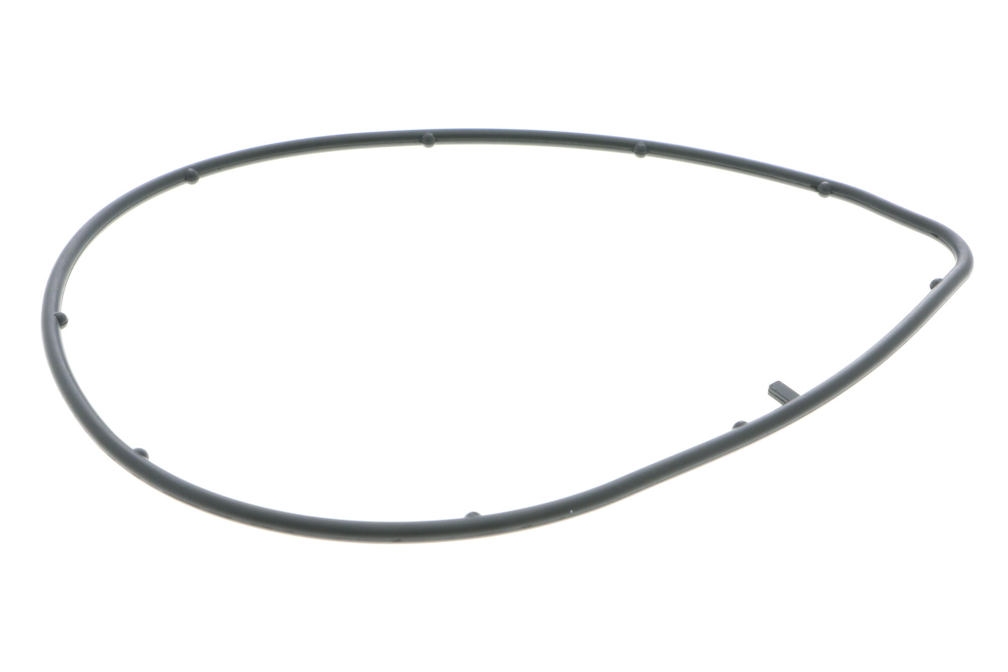 ACKOJA Water Pump, engine cooling A70-50023