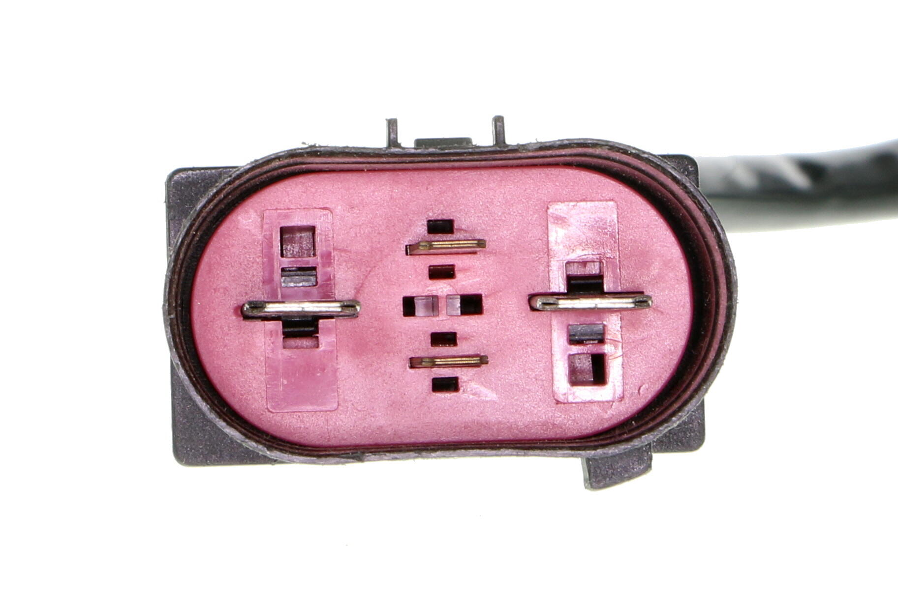 VEMO Fan, engine cooling V15-01-1893-1