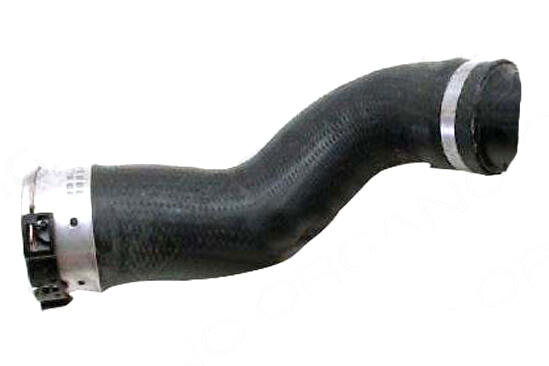 VAICO Charge Air Hose V20-3494