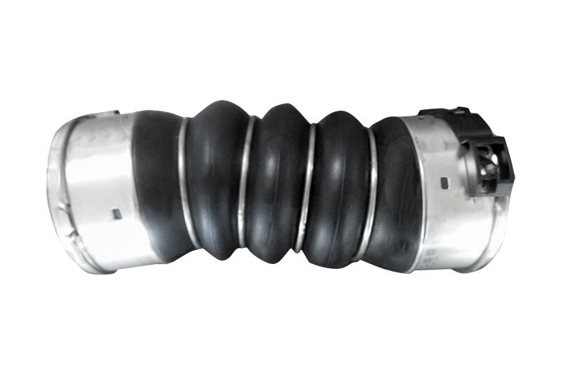 VAICO Charge Air Hose V20-4365