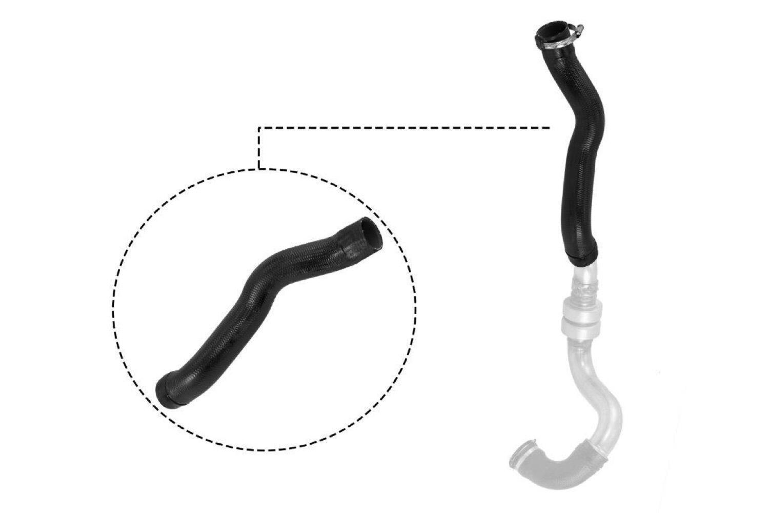 VAICO Charge Air Hose V21-0025