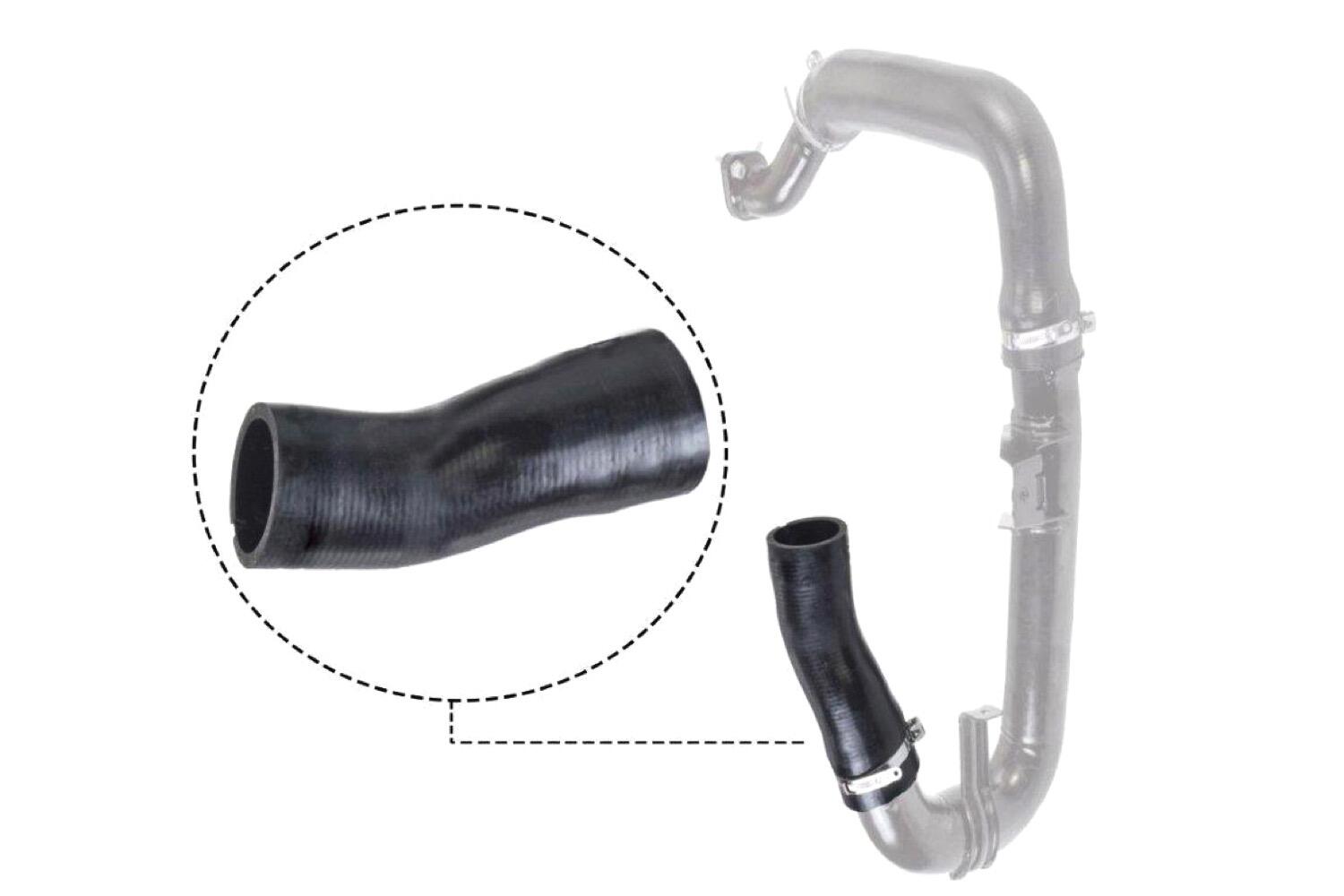 VAICO Charge Air Hose V24-0697