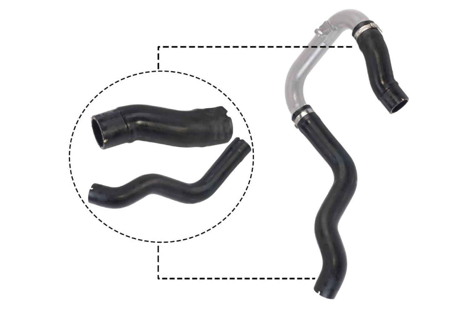 VAICO Charge Air Hose V24-0731