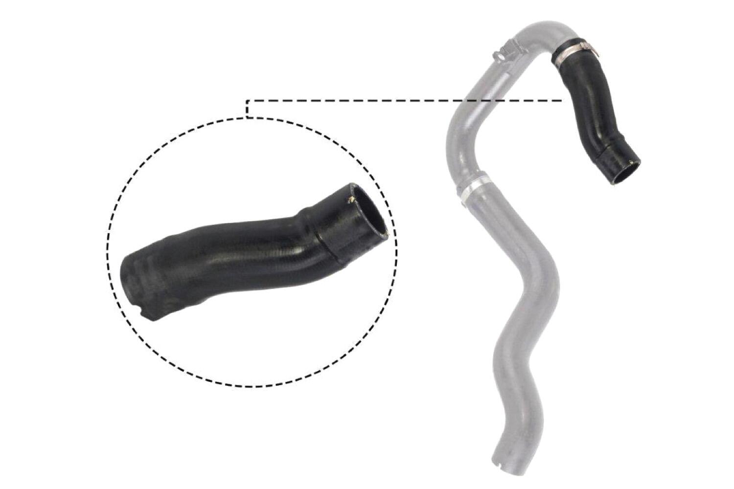 VAICO Charge Air Hose V24-0732