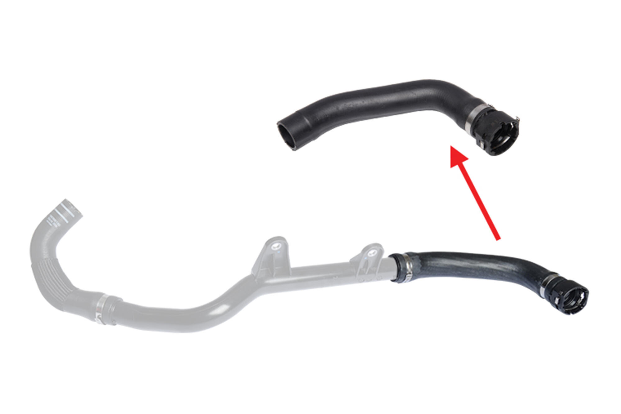 VAICO Radiator Hose V24-1441