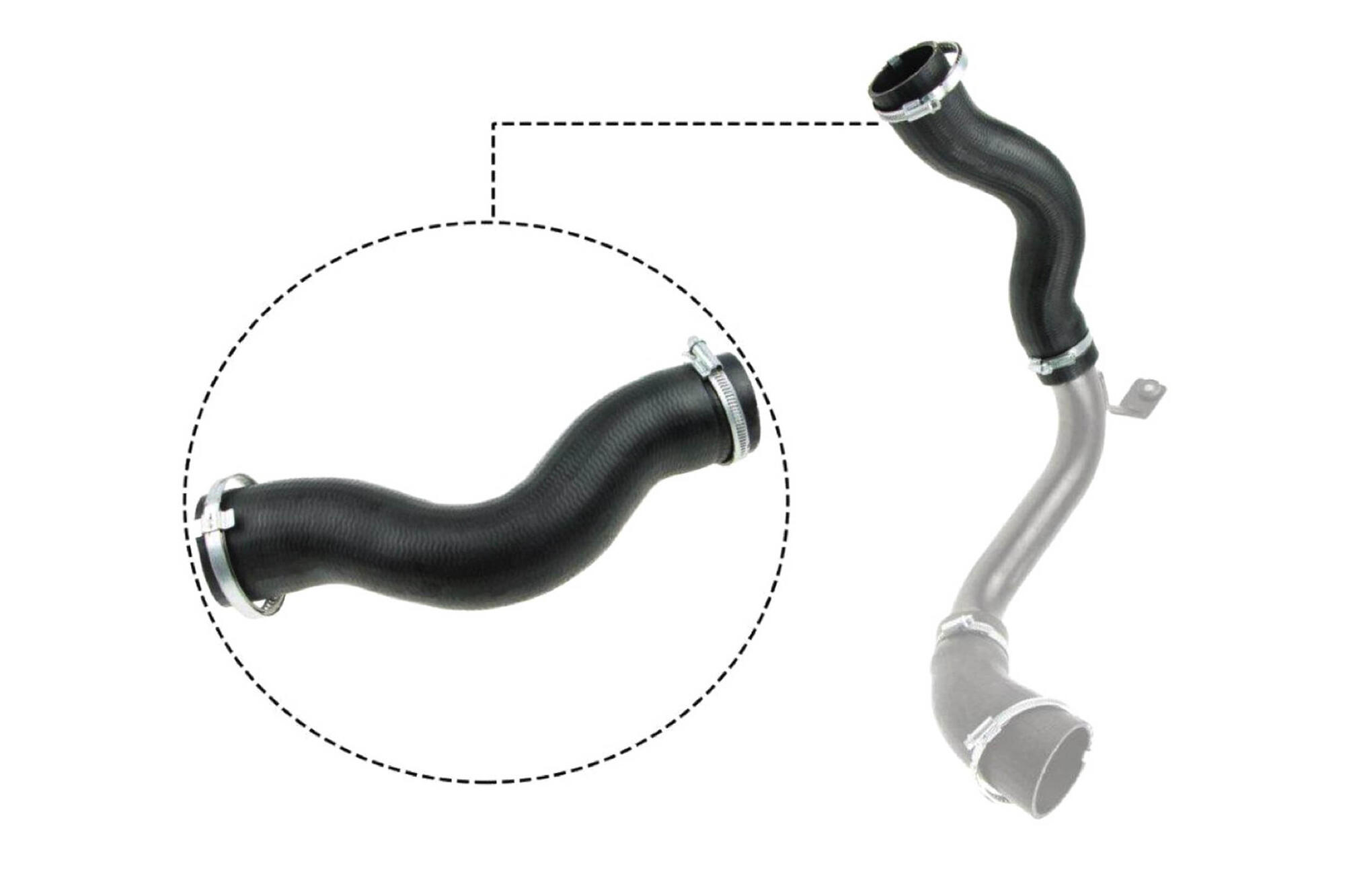 VAICO Charge Air Hose V25-1030