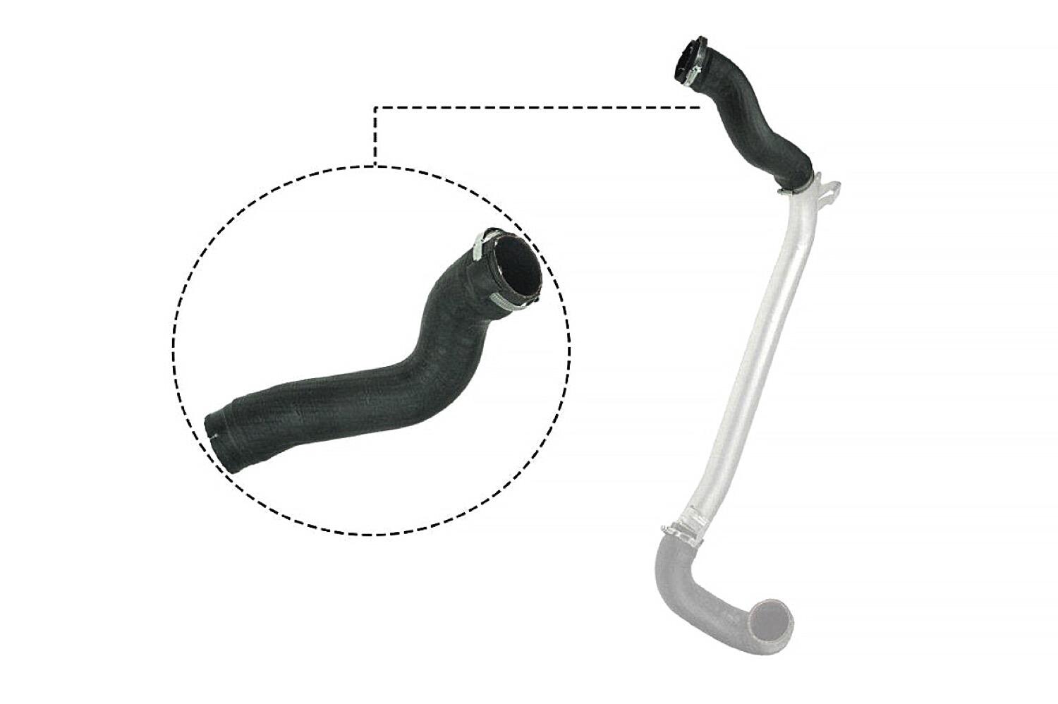 VAICO Charge Air Hose V40-1513