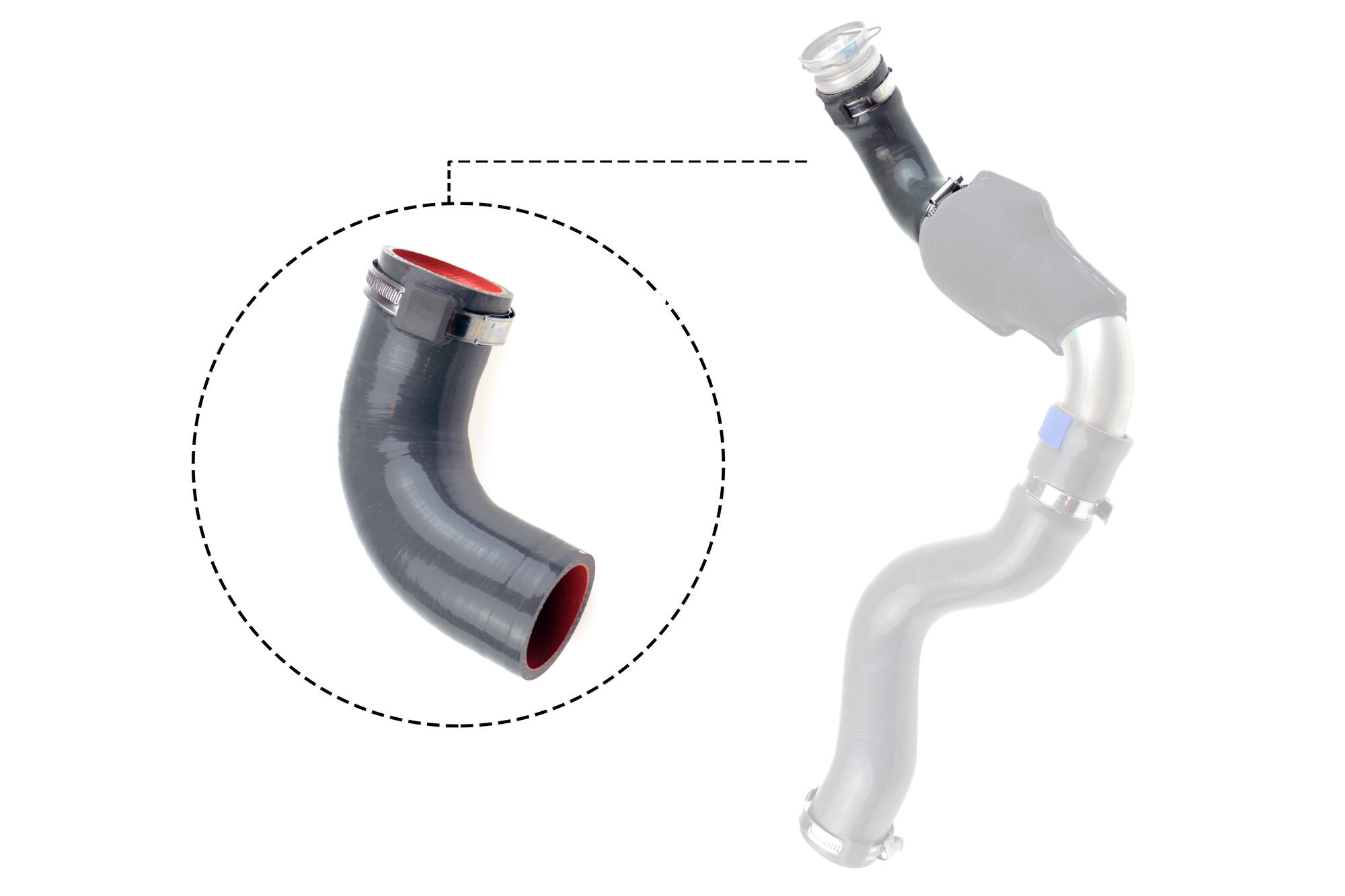 VAICO Charge Air Hose V46-1035