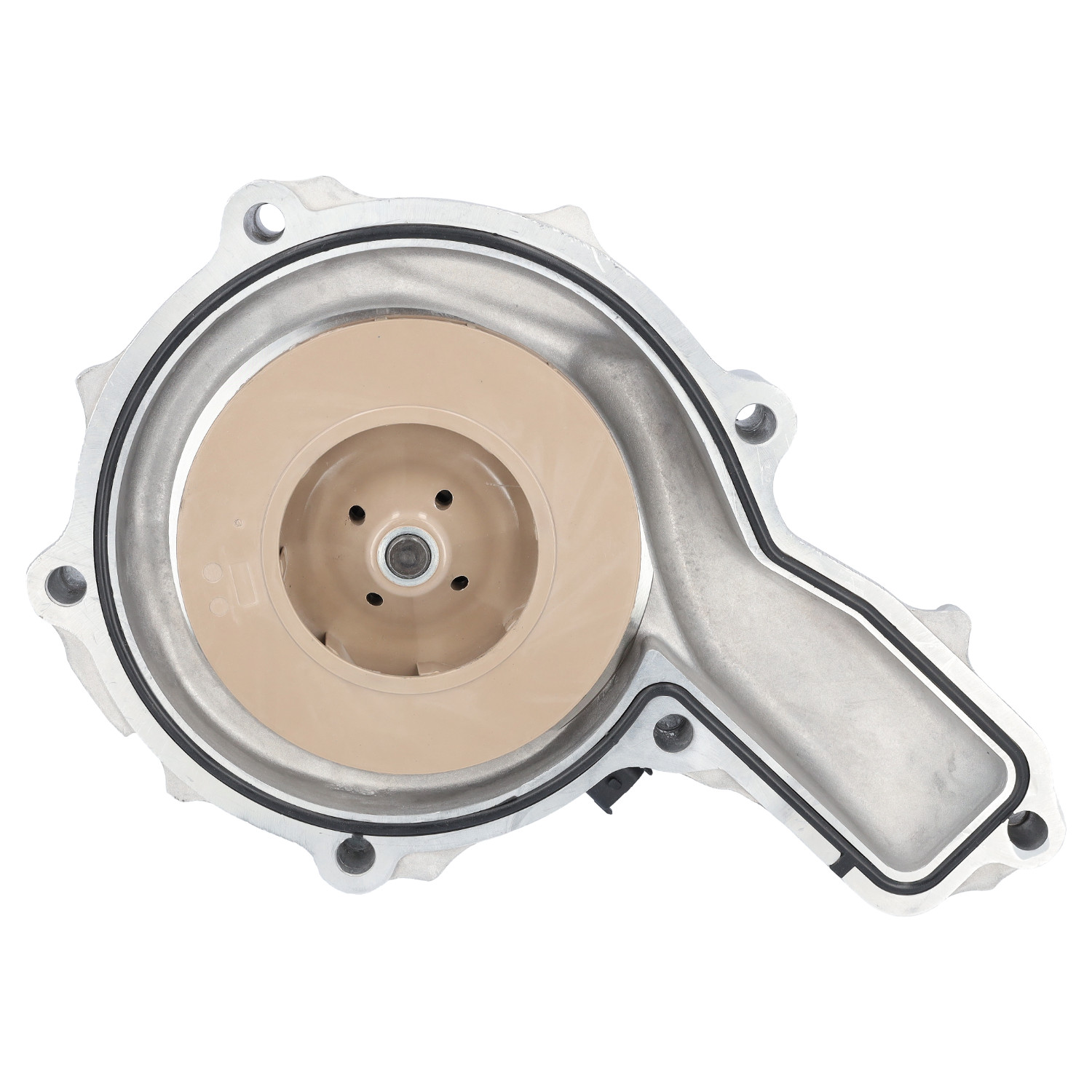 Febi Water Pump – 46019