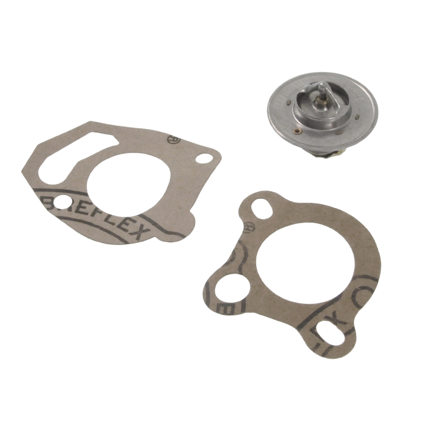 Blue Print Thermostat – ADA109201