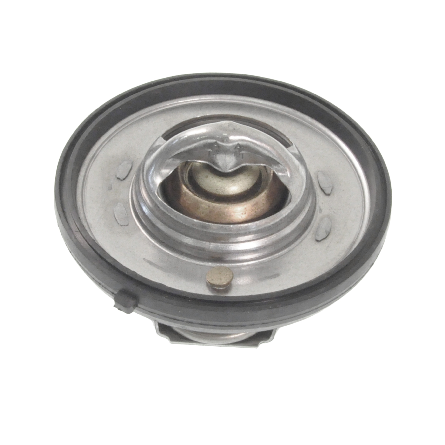 Blue Print Thermostat – ADA109203