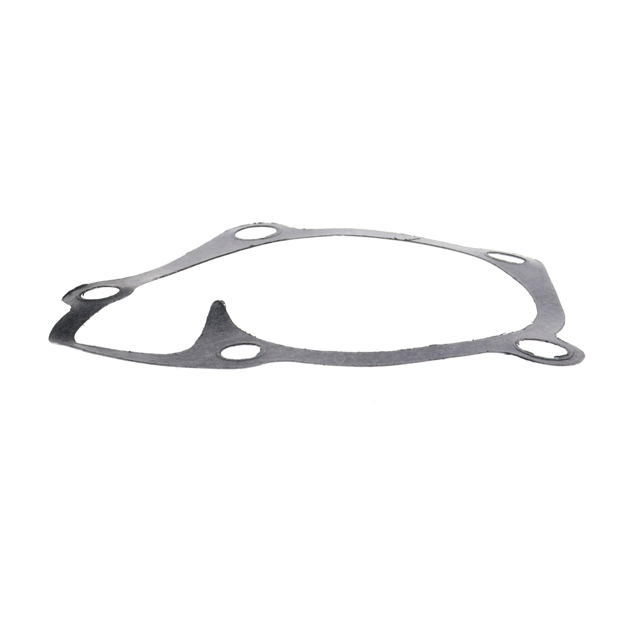 ACKOJA Water Pump, engine cooling A53-50003