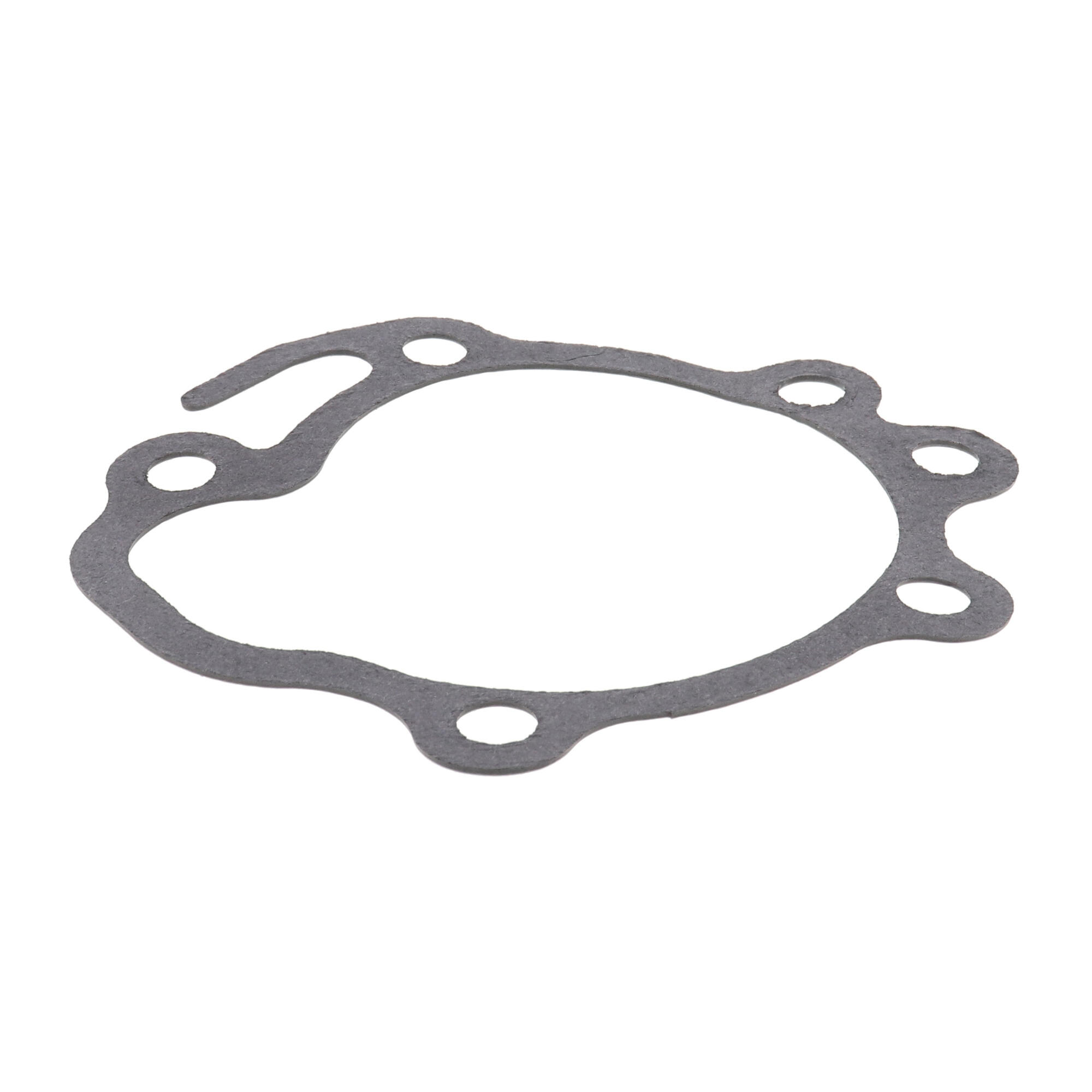 ACKOJA Water Pump, engine cooling A64-50006