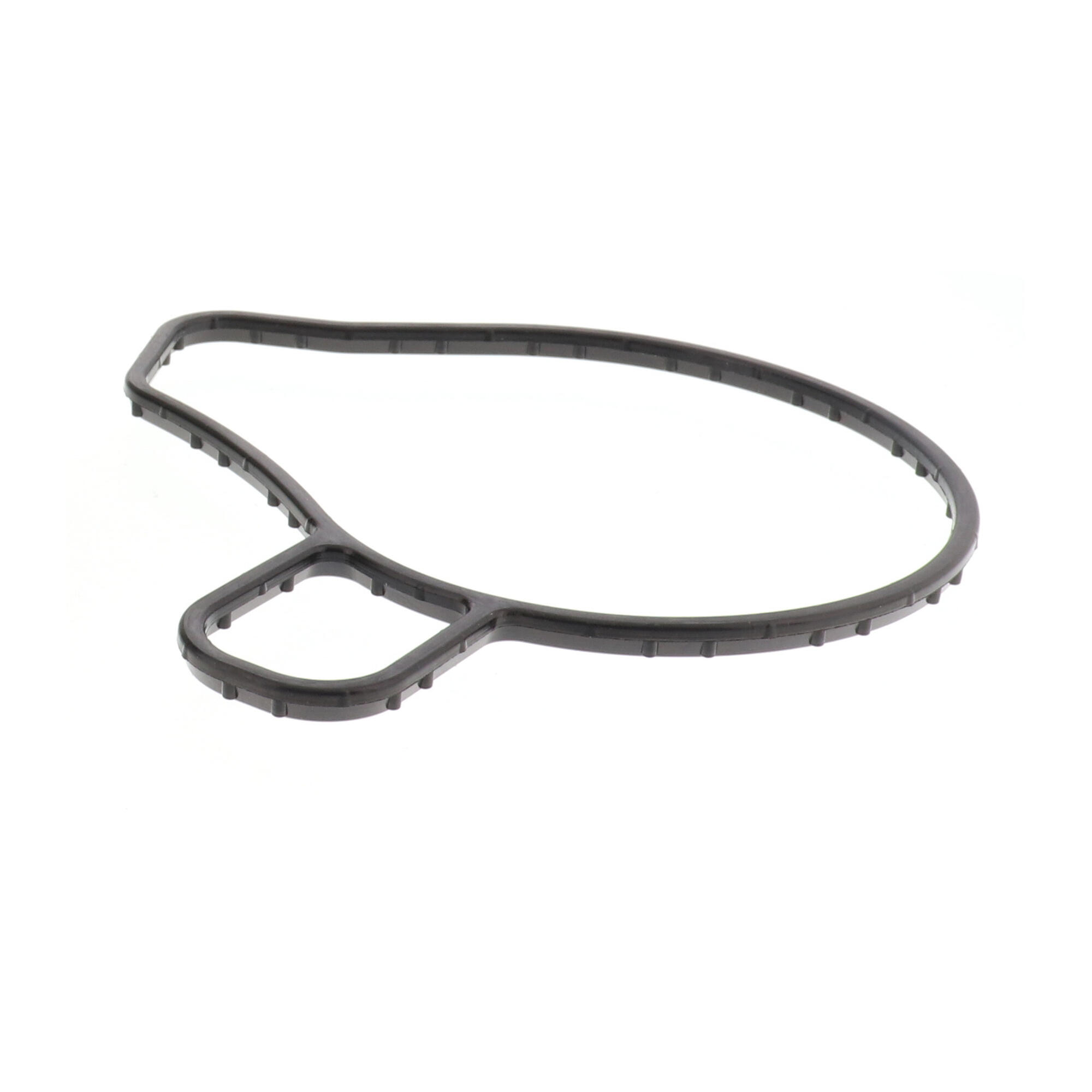 ACKOJA Water Pump, engine cooling A70-50033