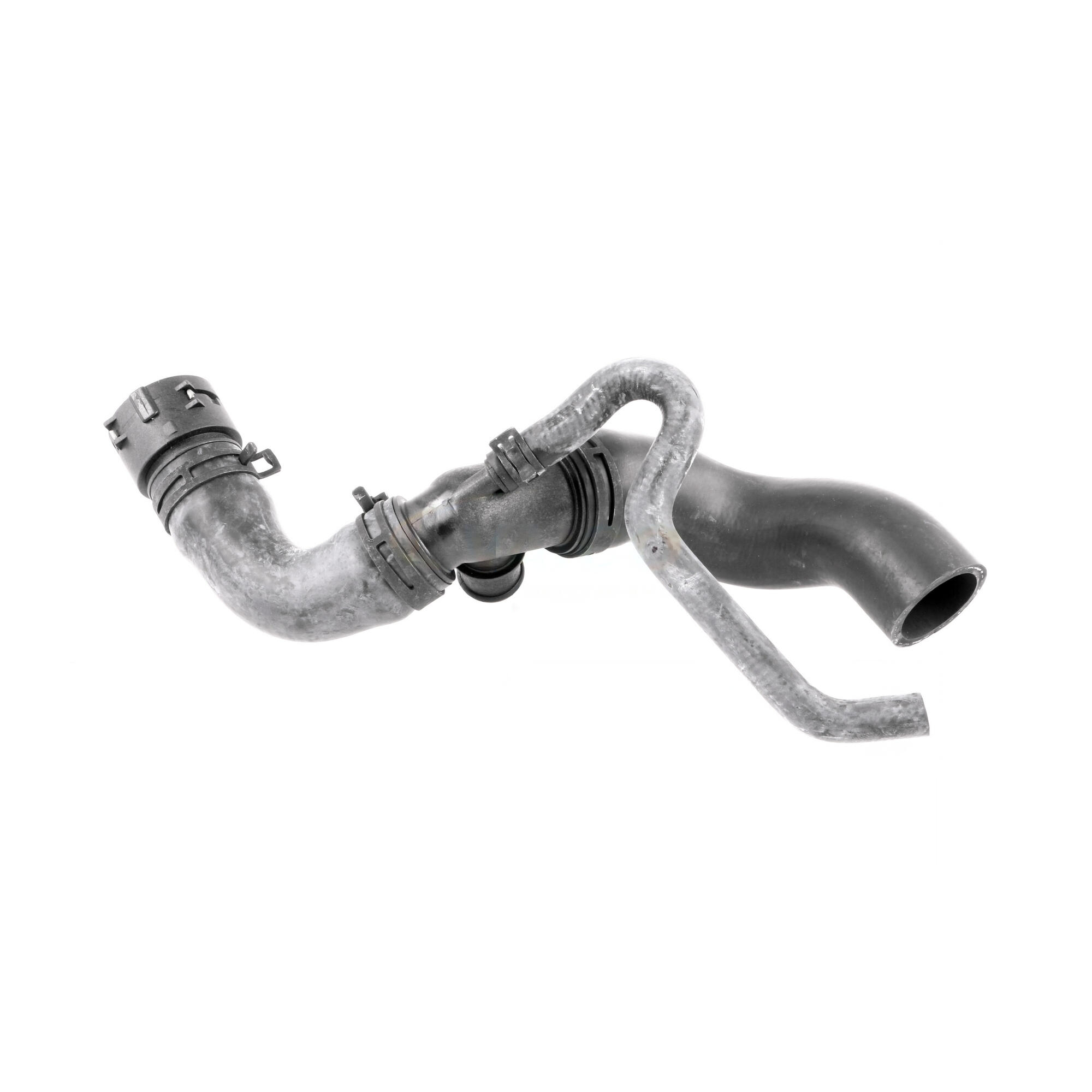 VAICO Radiator Hose V10-3915