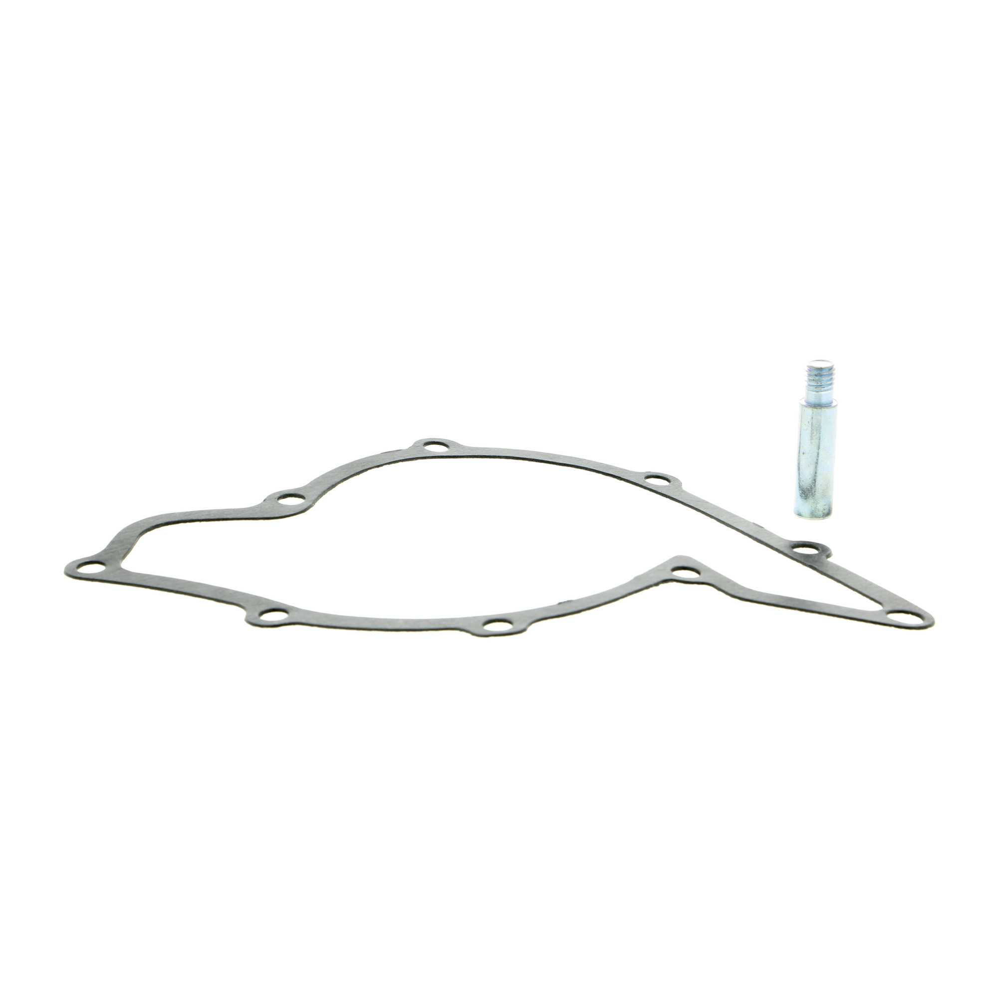 VAICO Water Pump, engine cooling V10-50055