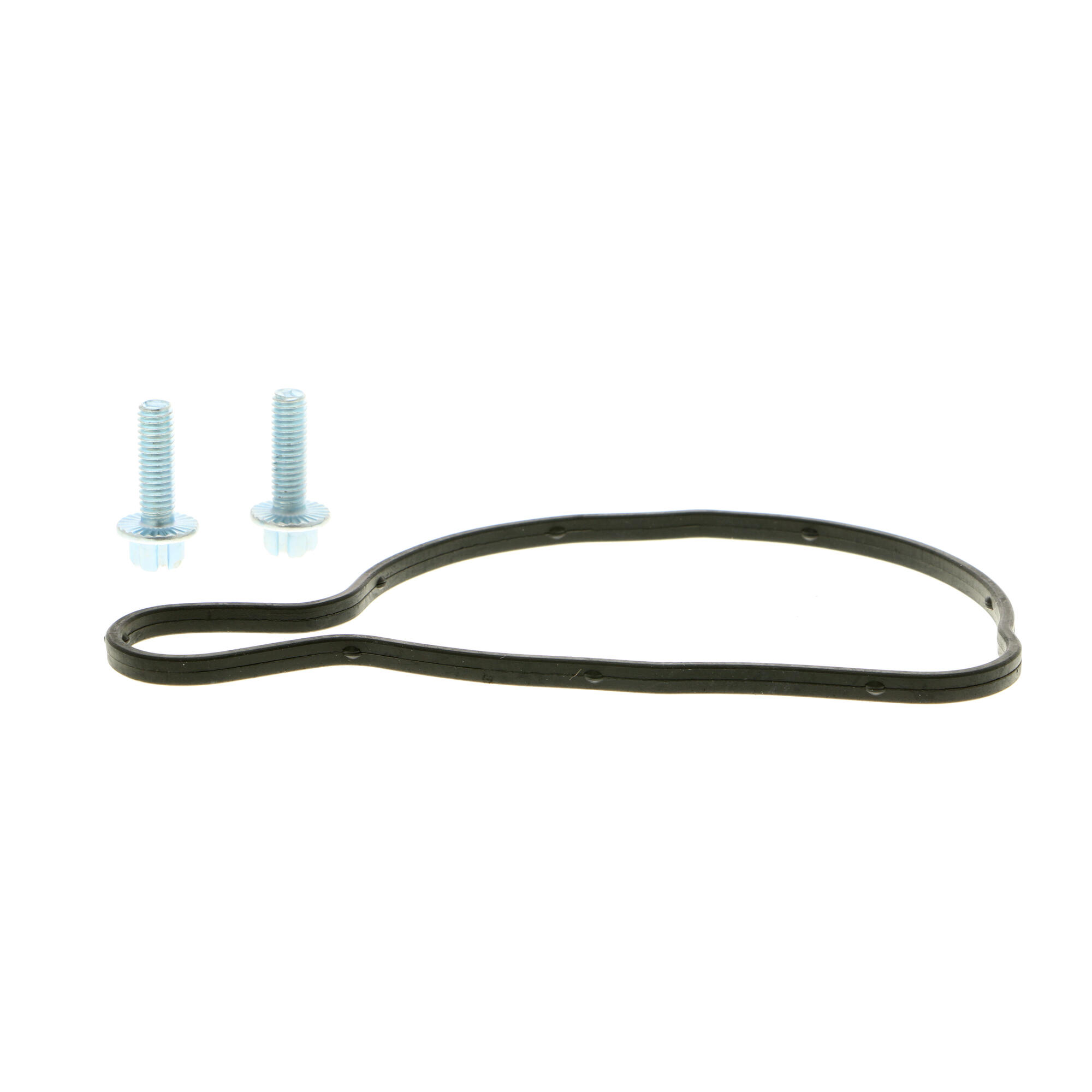 VAICO Water Pump, engine cooling V10-50063