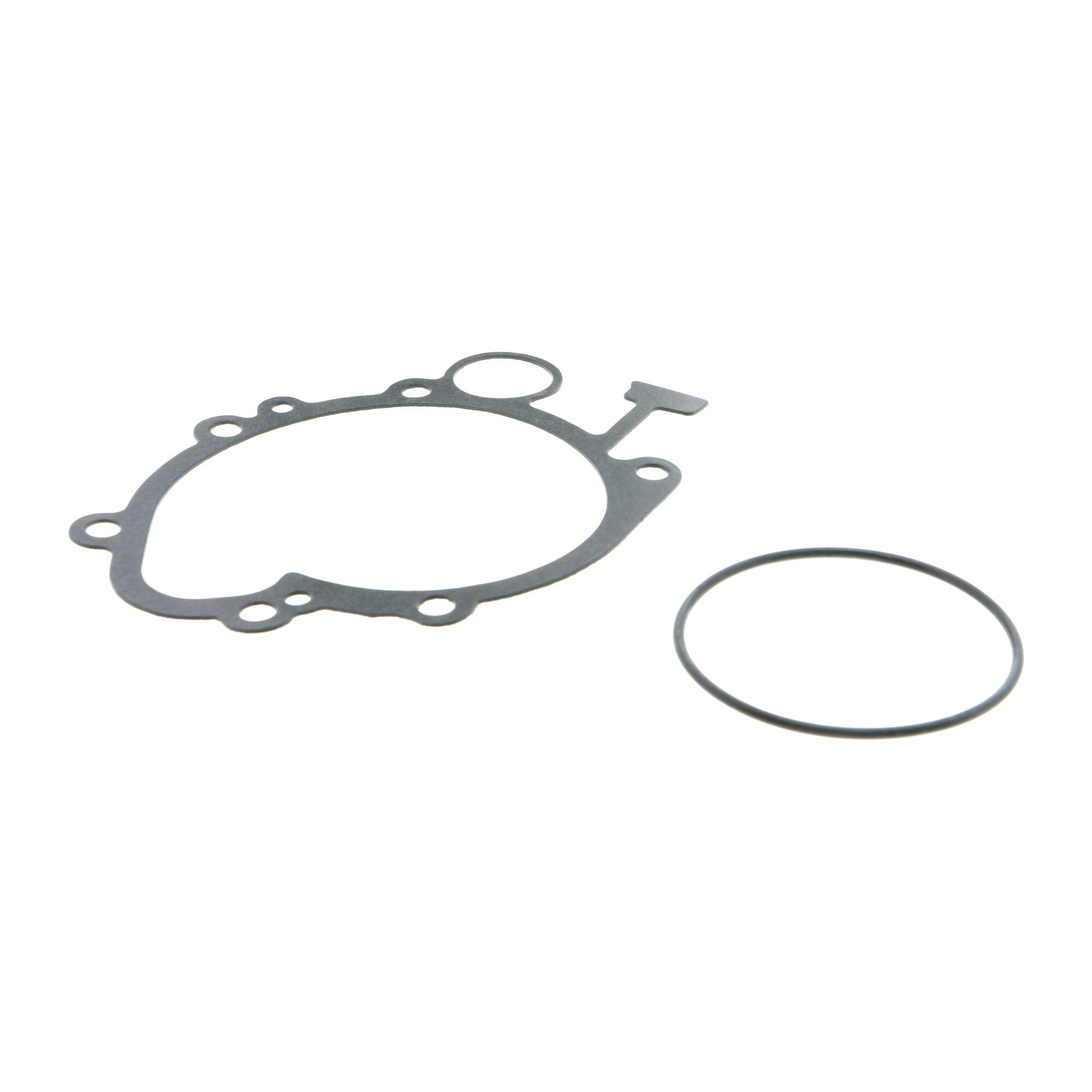 VAICO Water Pump, engine cooling V20-50031