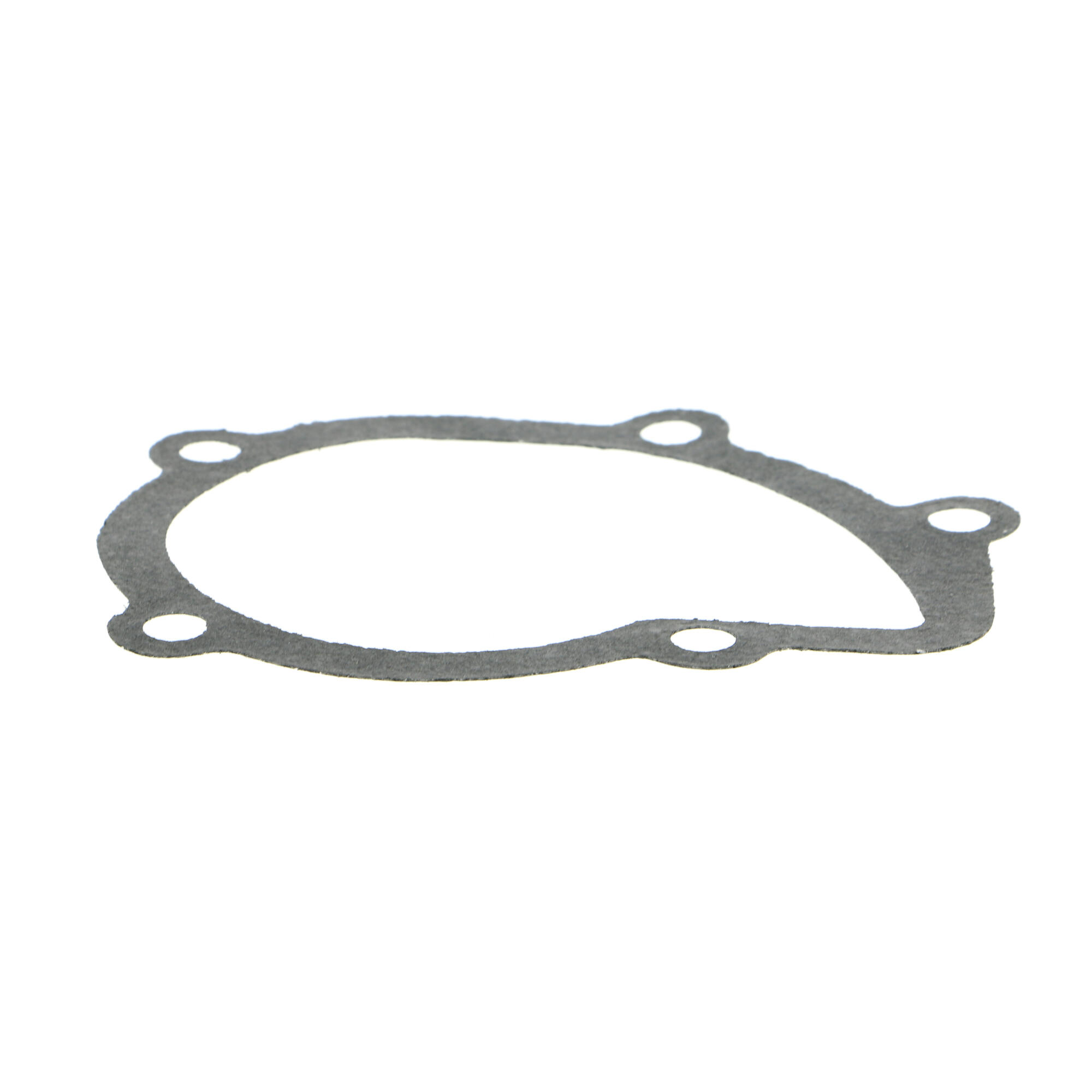 VAICO Water Pump, engine cooling V22-50008