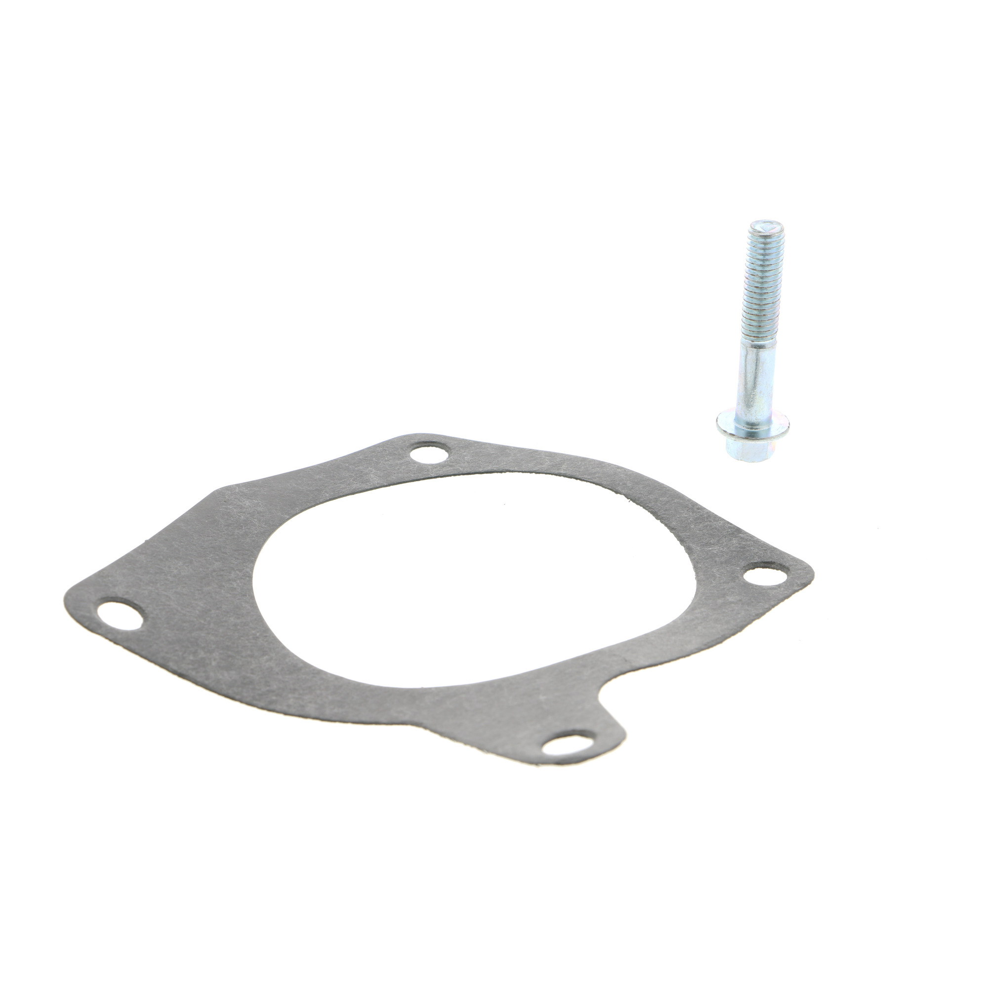 VAICO Water Pump, engine cooling V25-50021