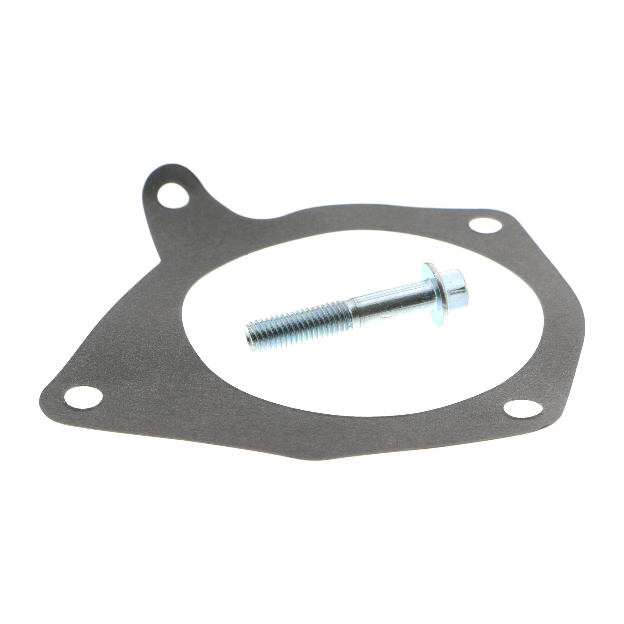 VAICO Water Pump, engine cooling V25-50025