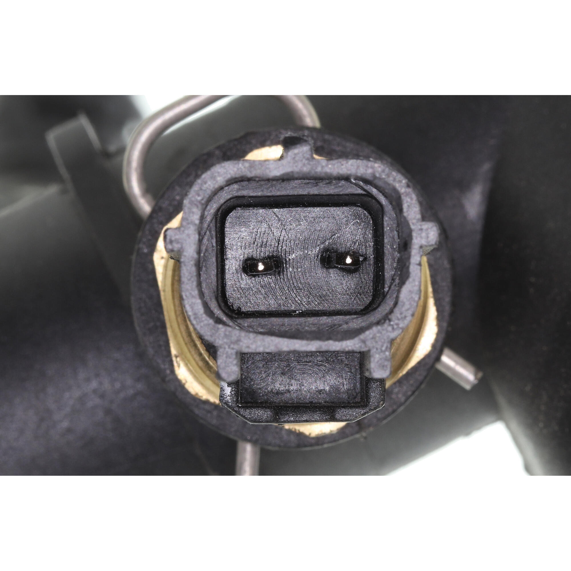 VAICO Radiator Hose V41-0037