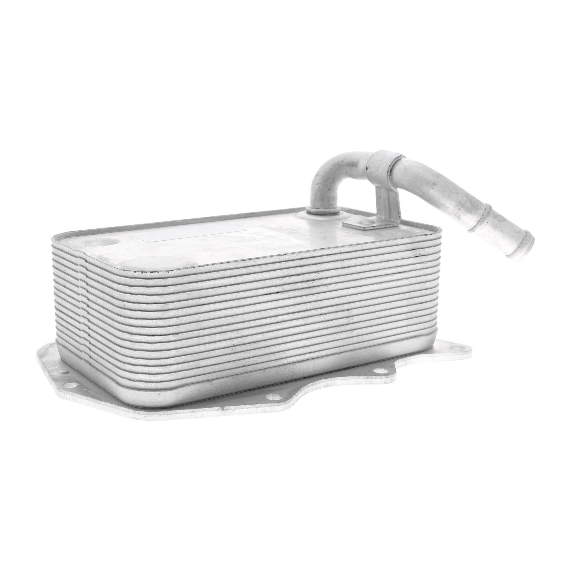 VEMO Oil Cooler, engine oil V15-60-0008