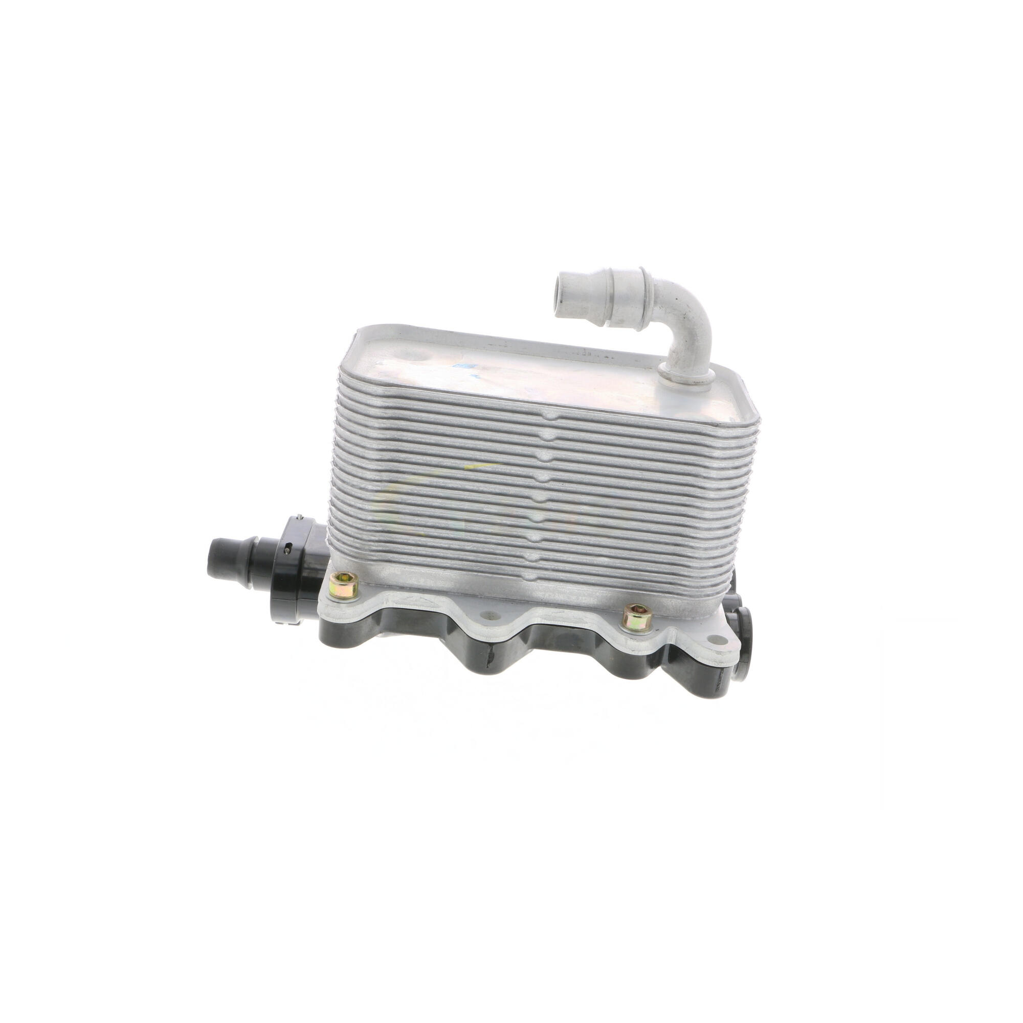 VEMO Oil Cooler, engine oil V20-60-0046