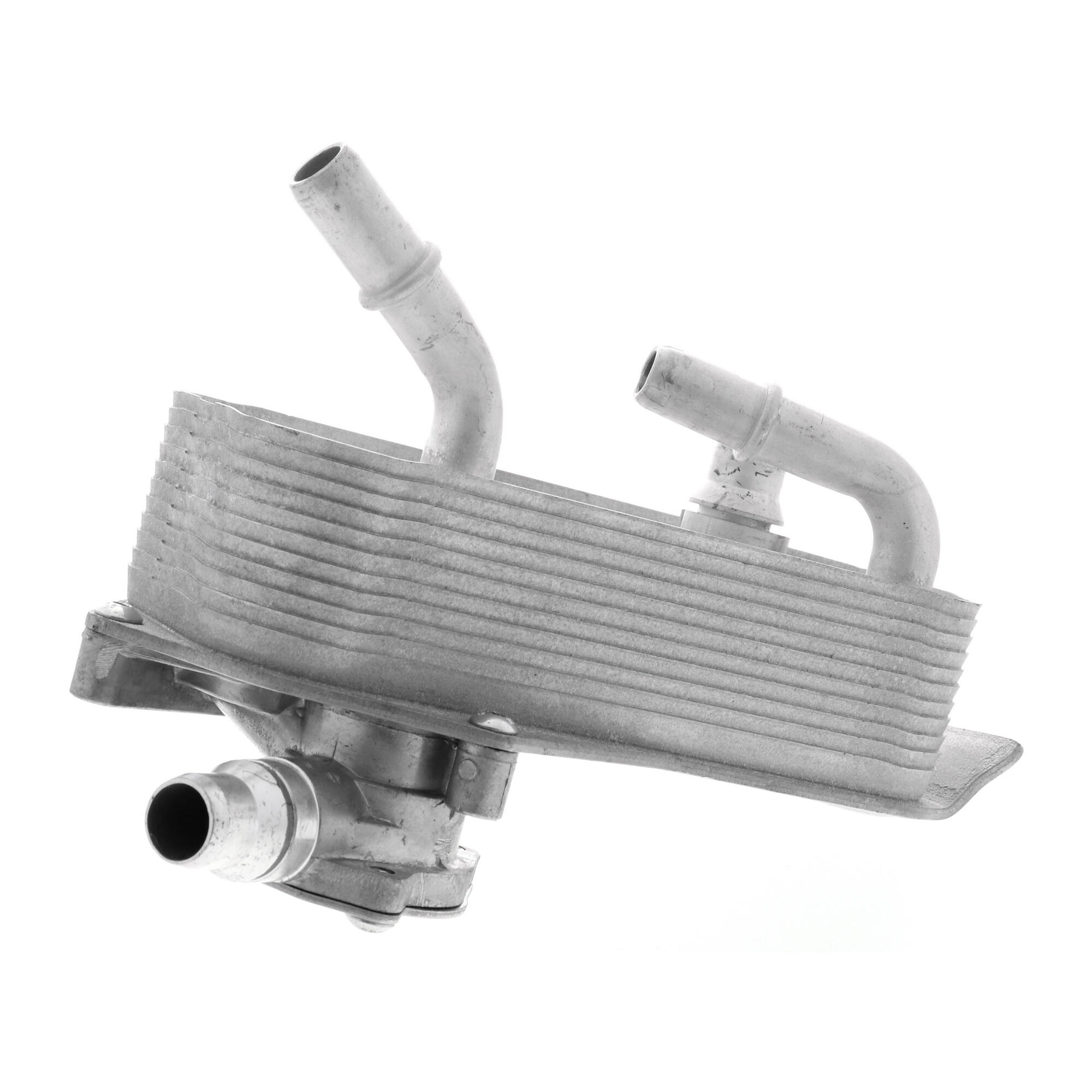 VEMO Oil Cooler, automatic transmission V20-60-1552
