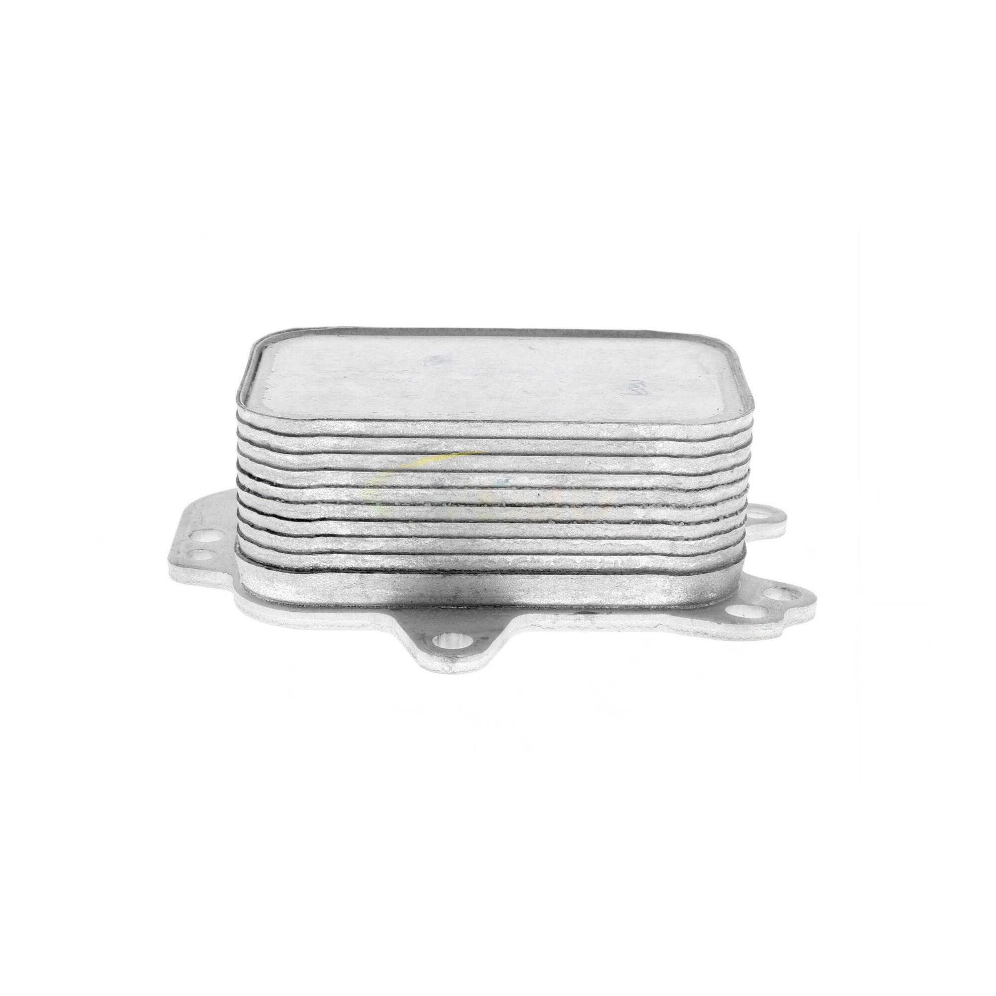 VEMO Oil Cooler, engine oil V22-60-0044