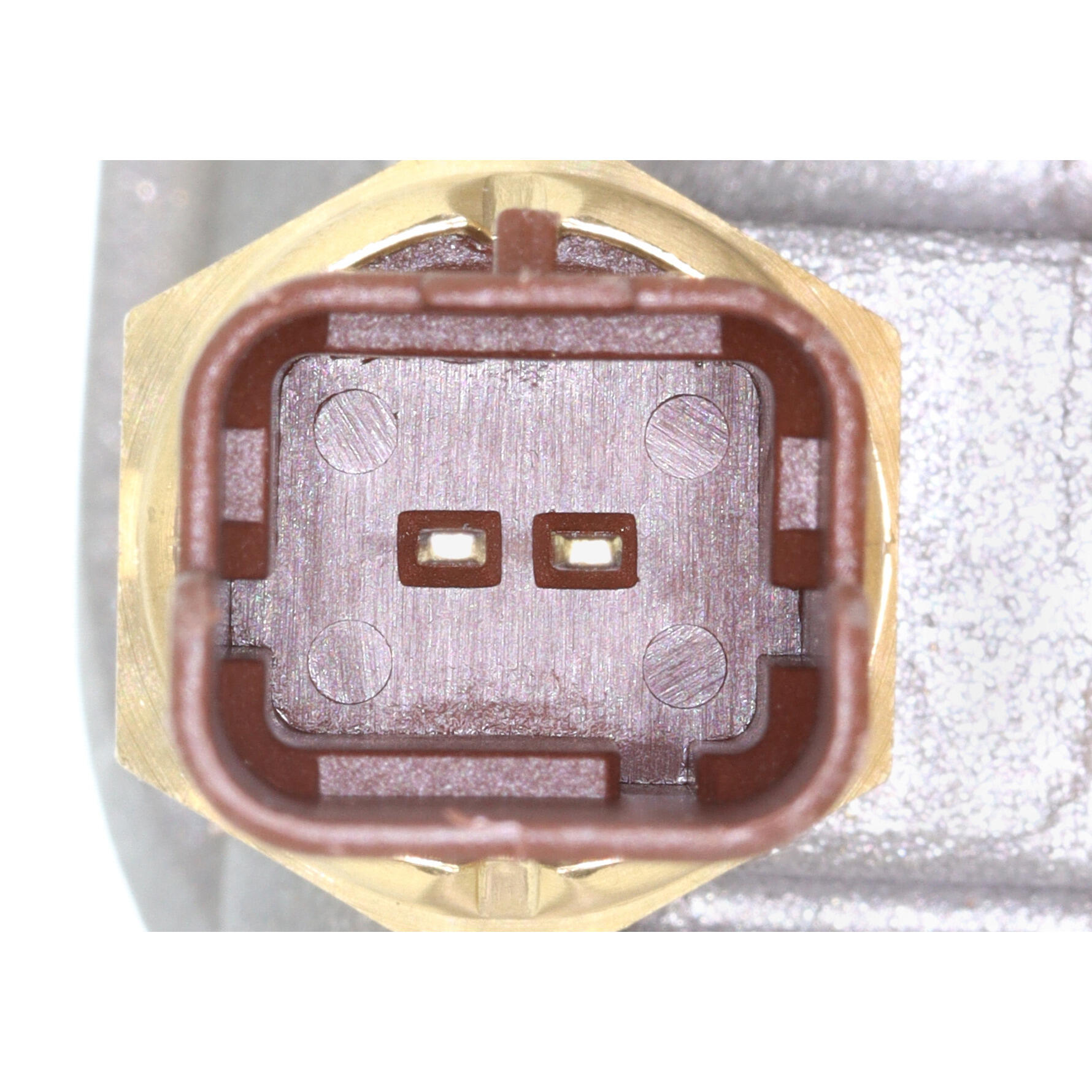 VEMO Thermostat Housing V24-99-0031