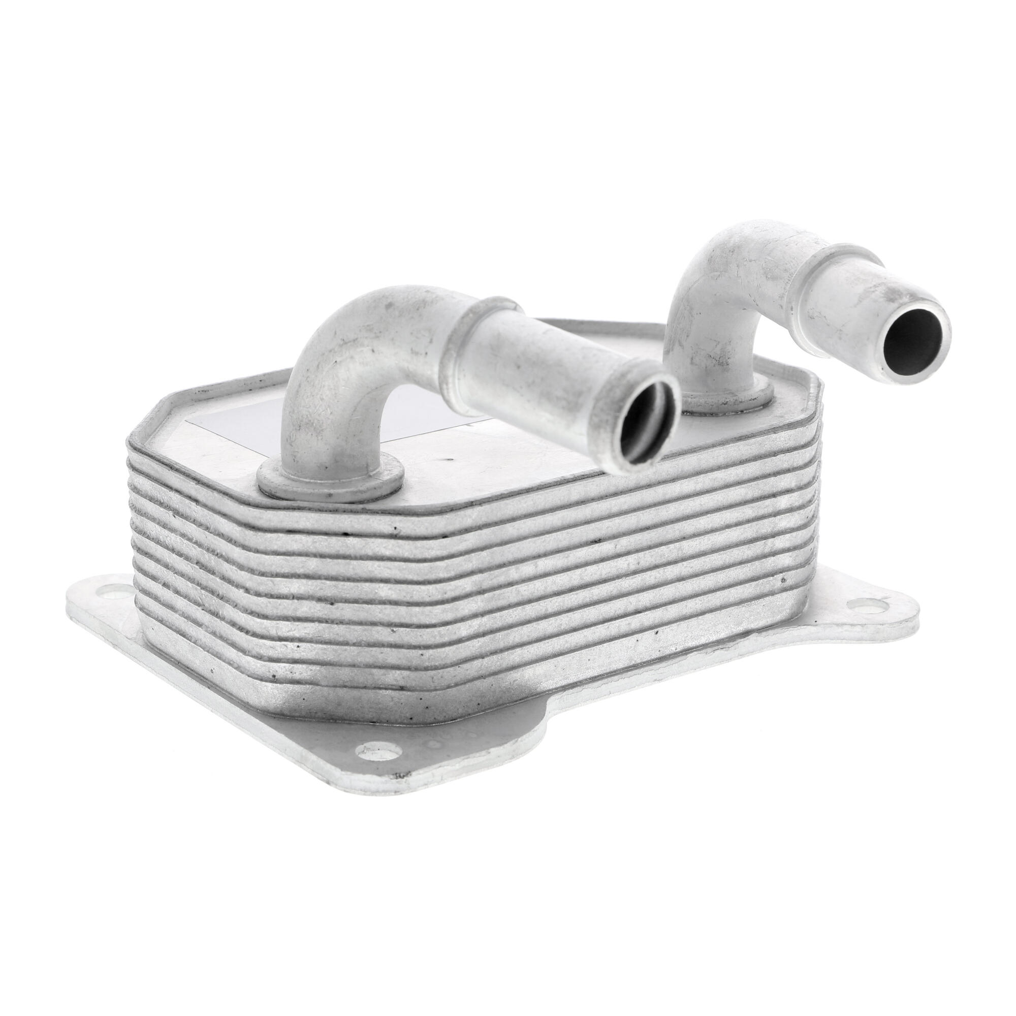 VEMO Oil Cooler, engine oil V25-60-0041