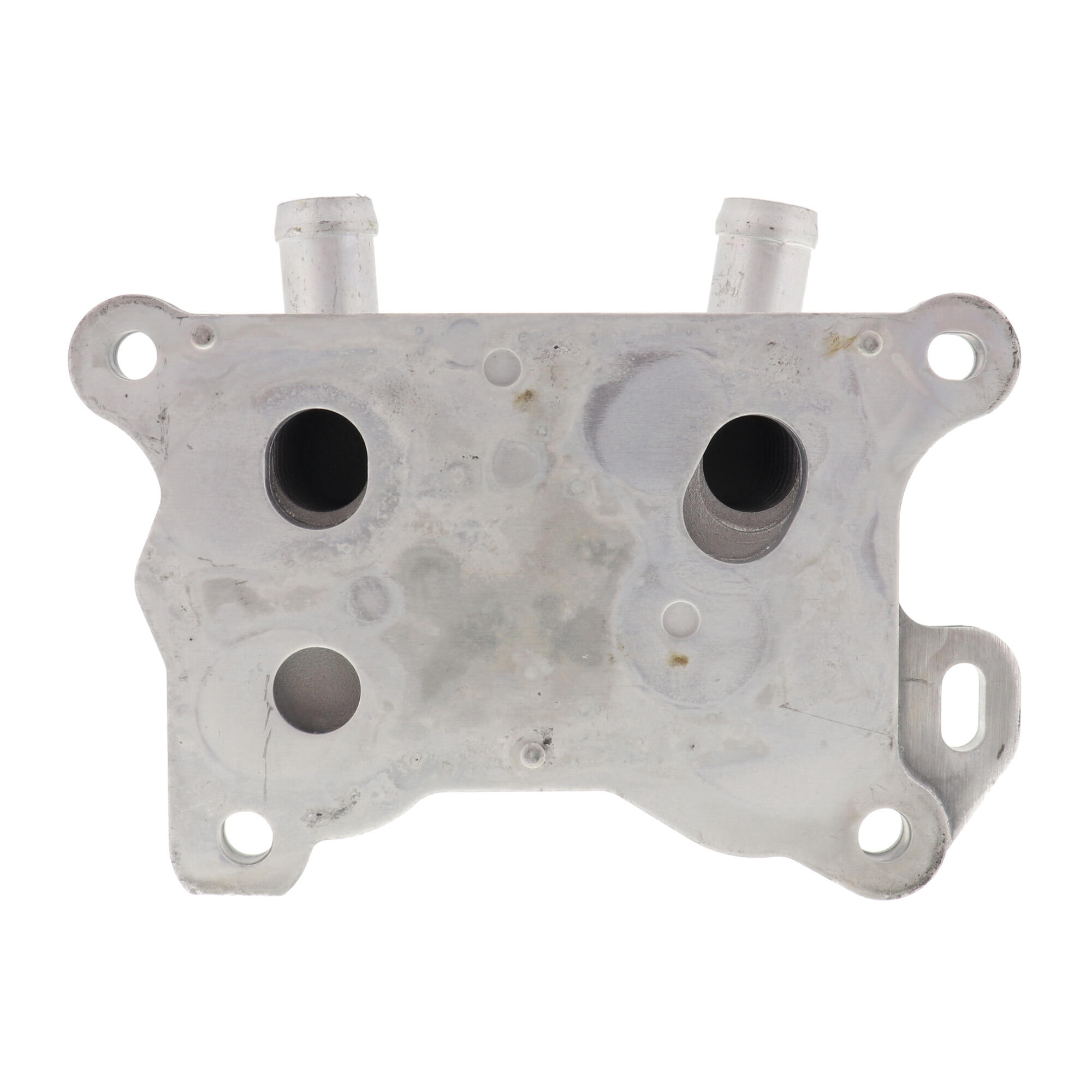 VEMO Oil Cooler, engine oil V38-60-0004