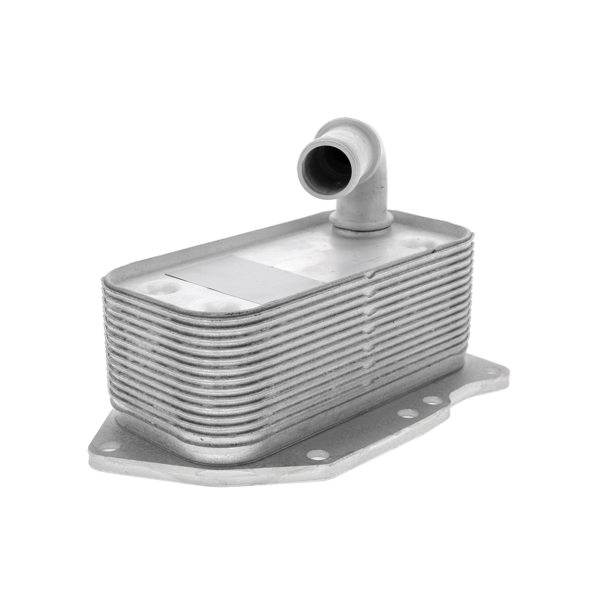 VEMO Oil Cooler, engine oil V40-60-2107