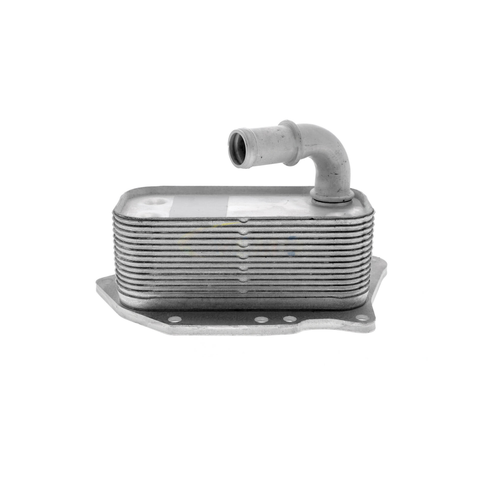 VEMO Oil Cooler, engine oil V40-60-2107