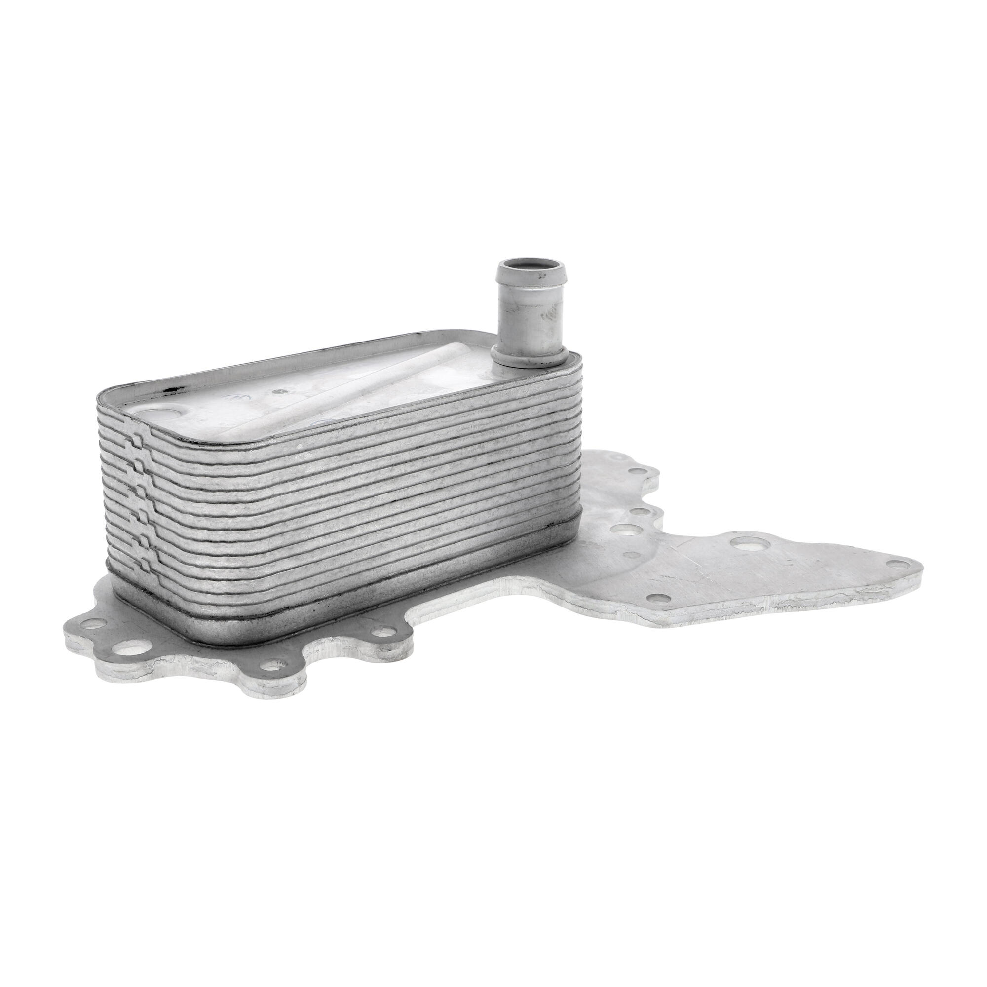 VEMO Oil Cooler, engine oil V40-60-2119